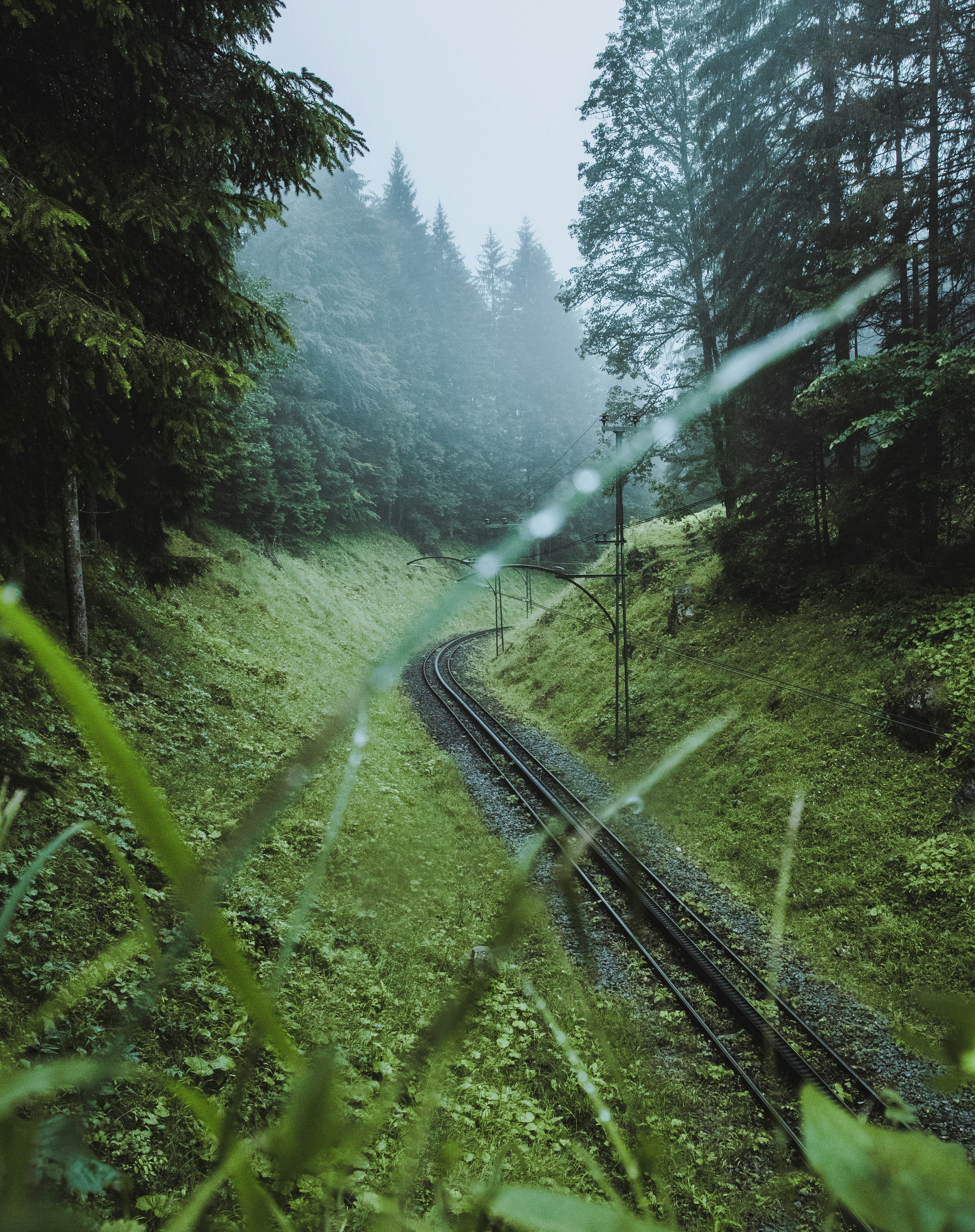 Photo by skopekmiroslav