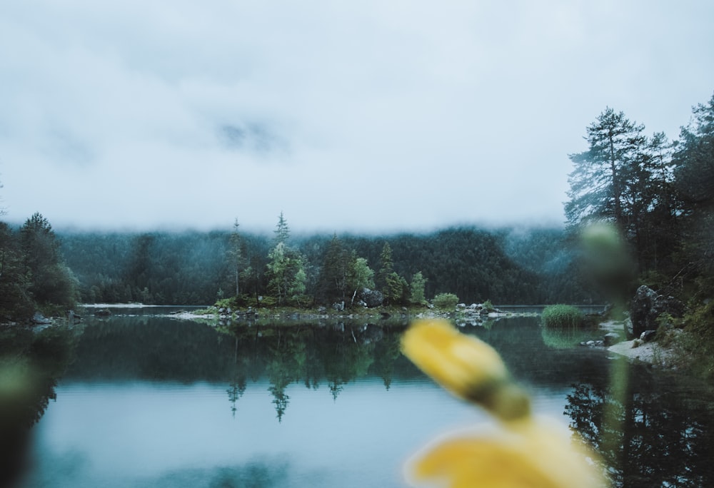 a view of a body of water with trees in the background