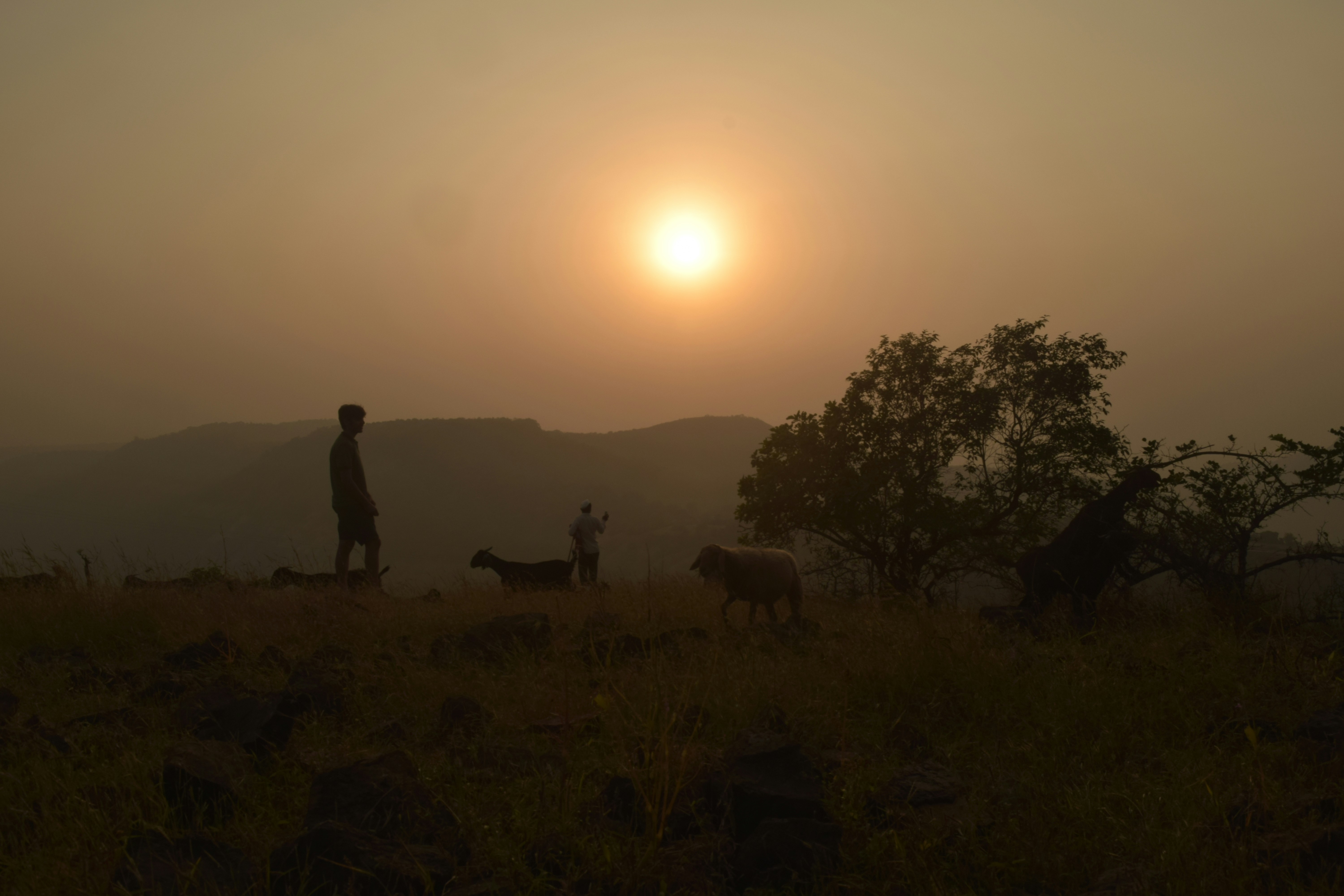 Photo by pranavratra