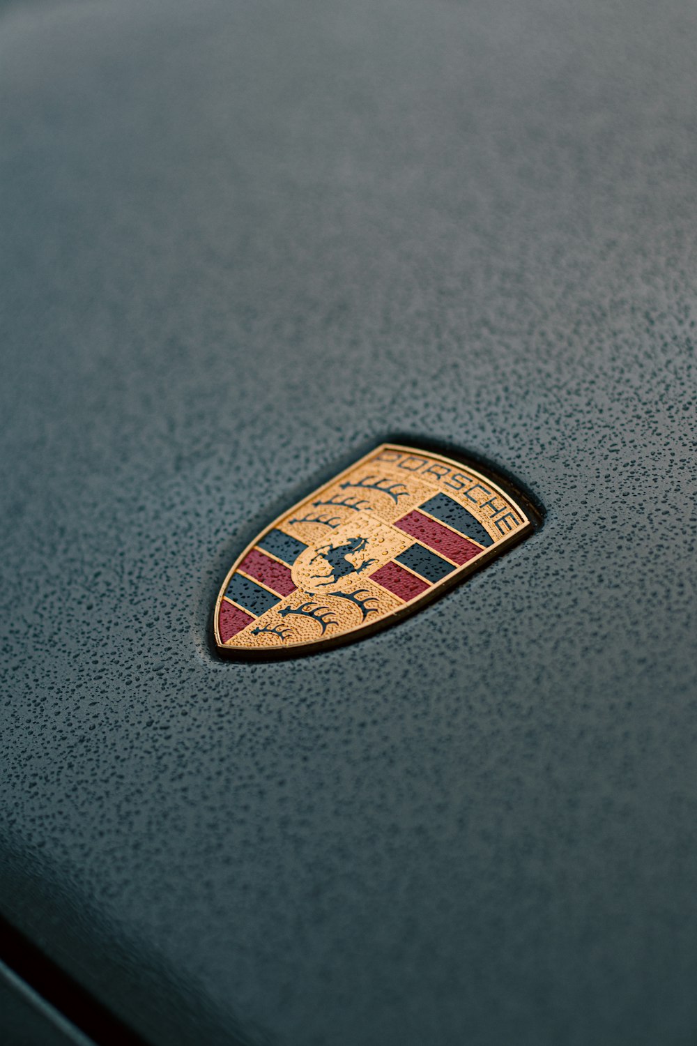 a badge on the hood of a car