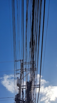 Numerous power lines crisscrossing the sky, connected to a utility pole with several transformers and insulators. The background features a clear blue sky with a few scattered clouds.