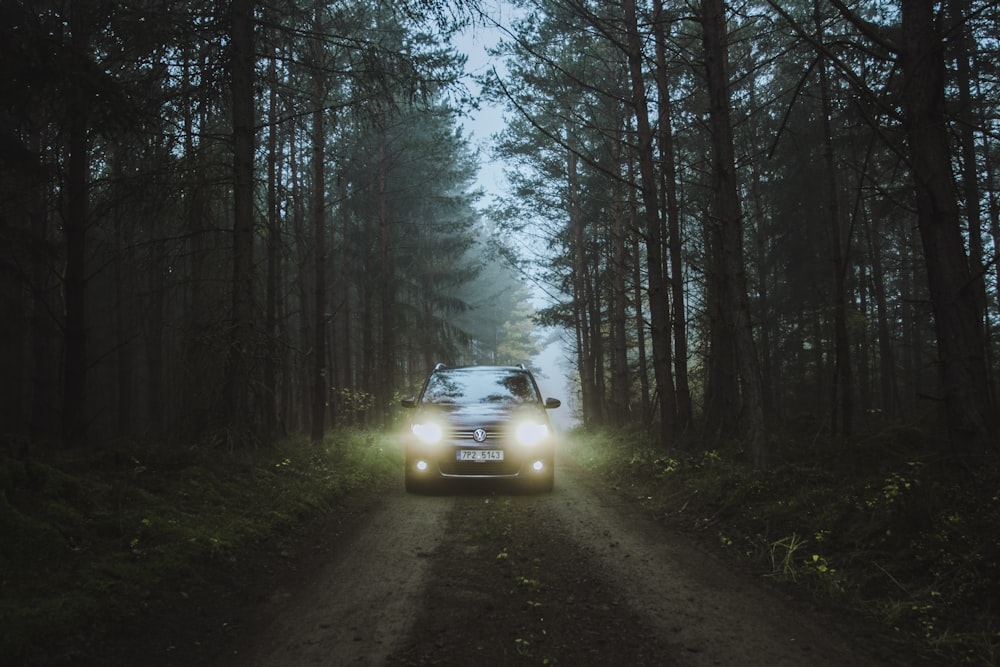 a car driving down a dirt road in the woods