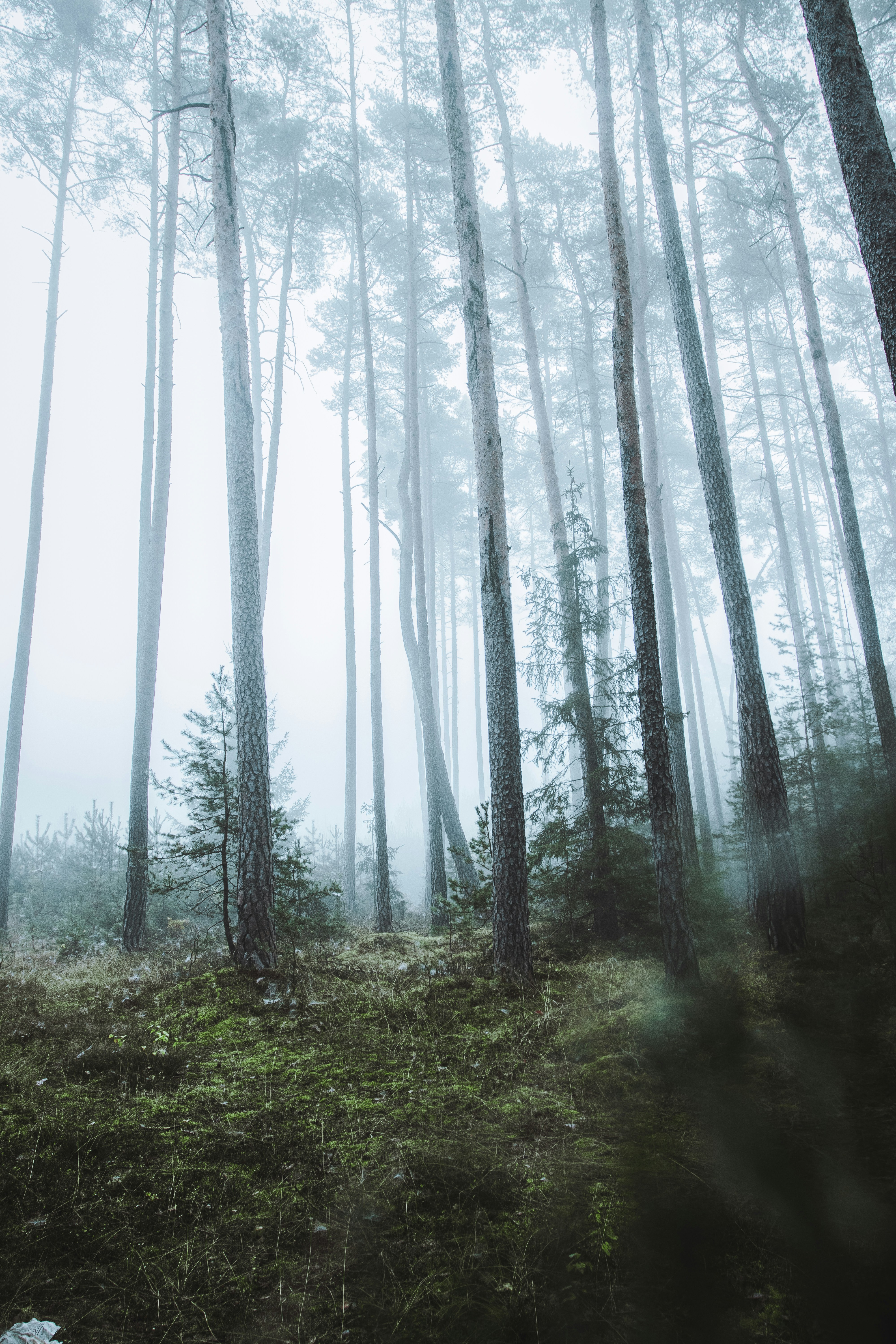 Photo by skopekmiroslav