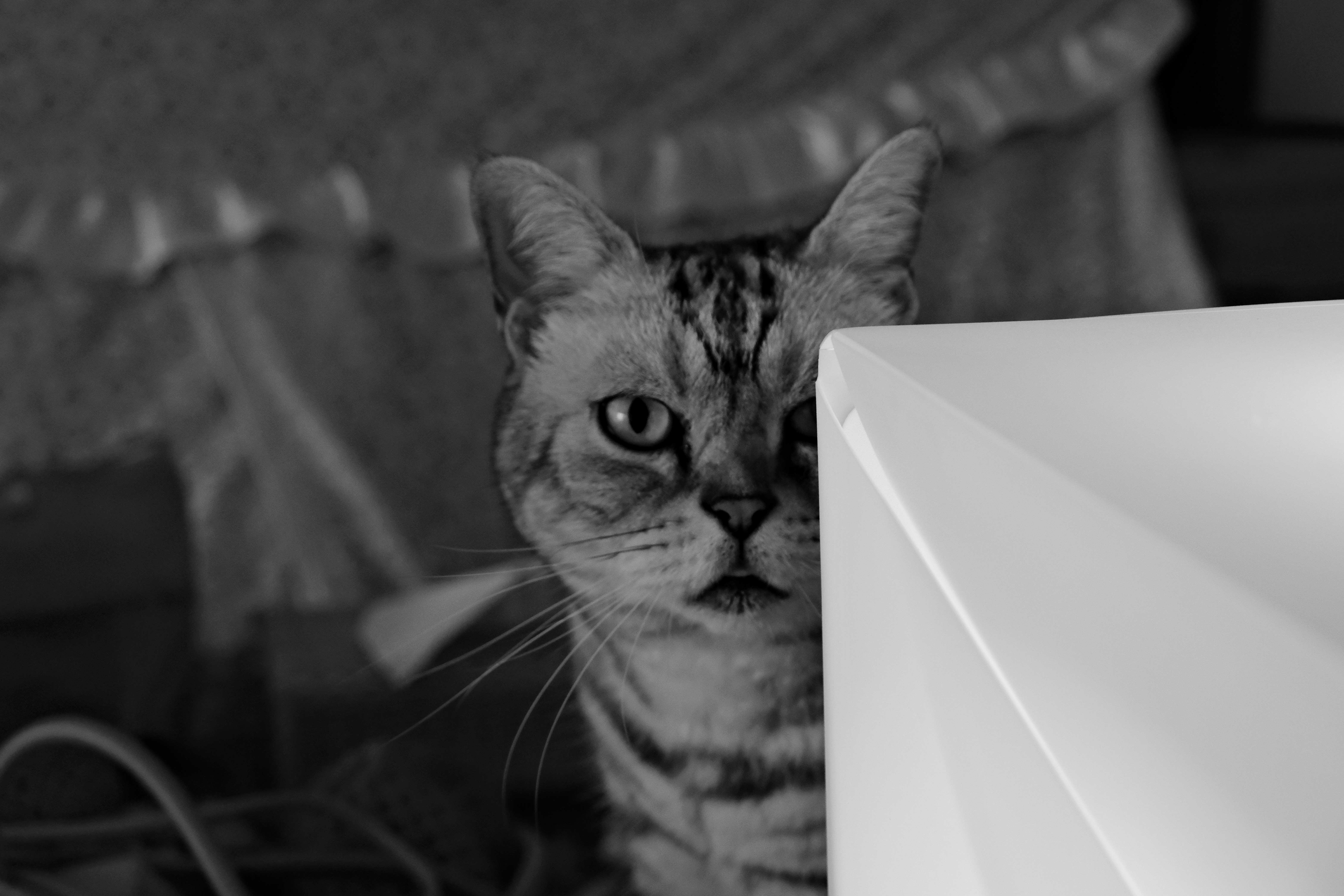 Photo by warmwater215