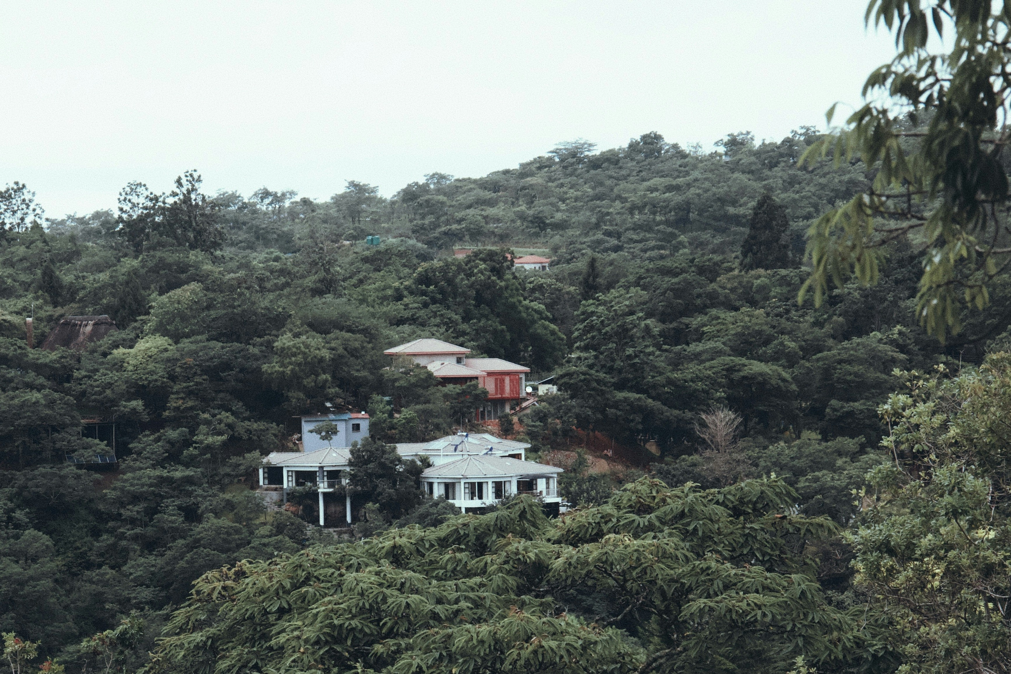 a house in the middle of a forest