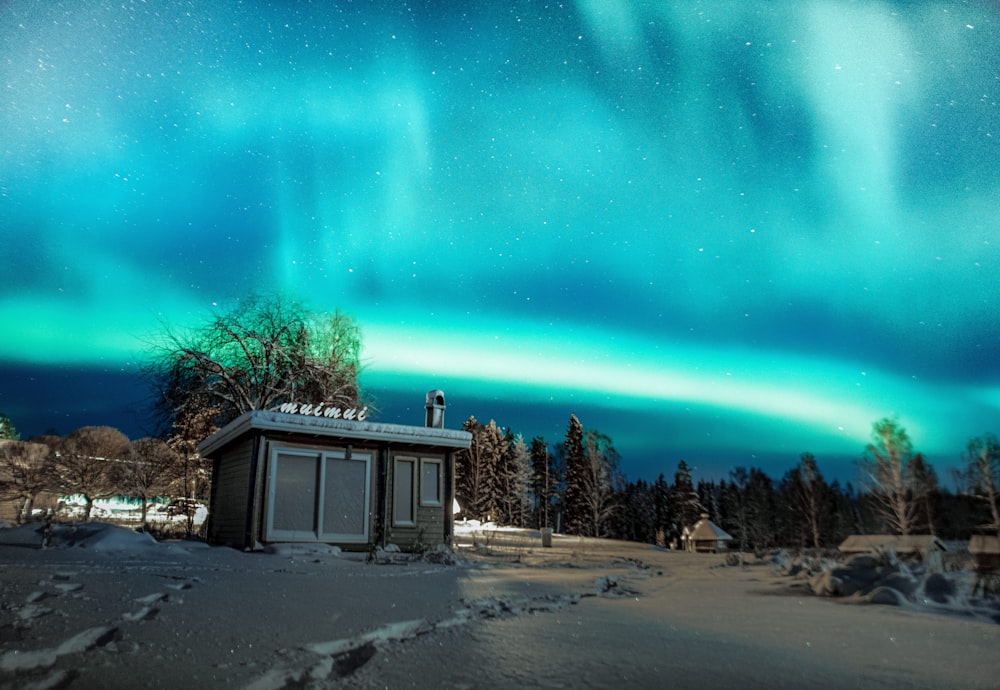 a cabin in the middle of a snowy field