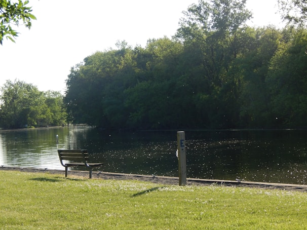 A peaceful meditation scene at a lakeside.