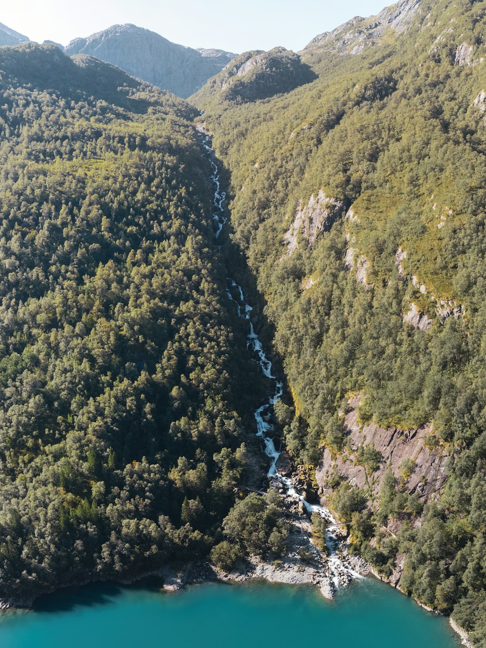 a river running through a lush green forest