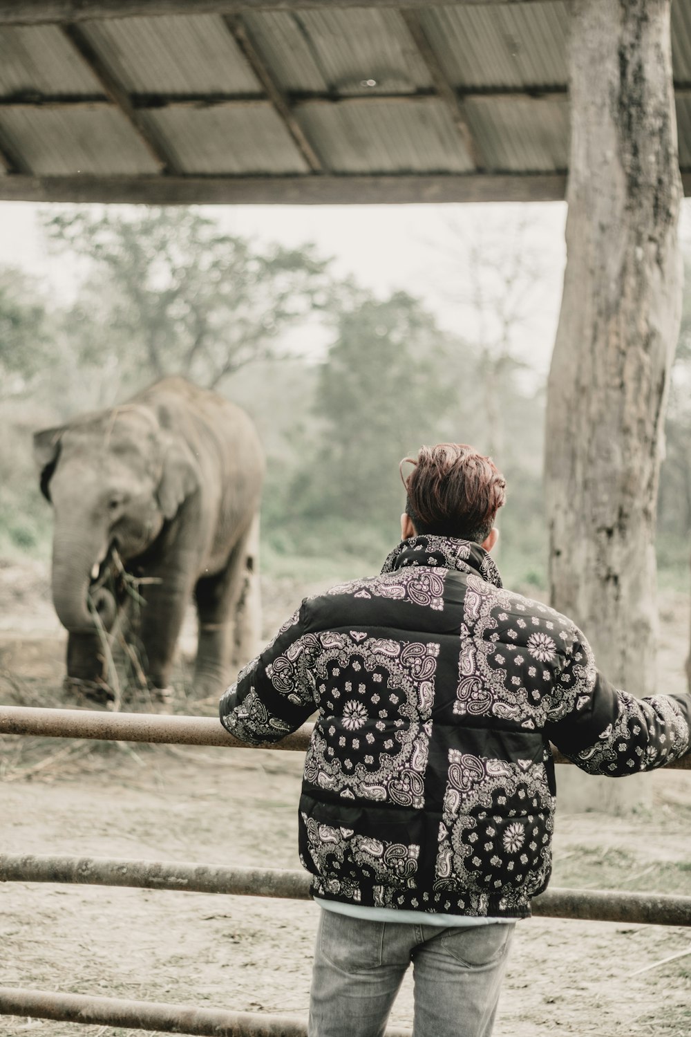 a man standing in front of an elephant behind a fence