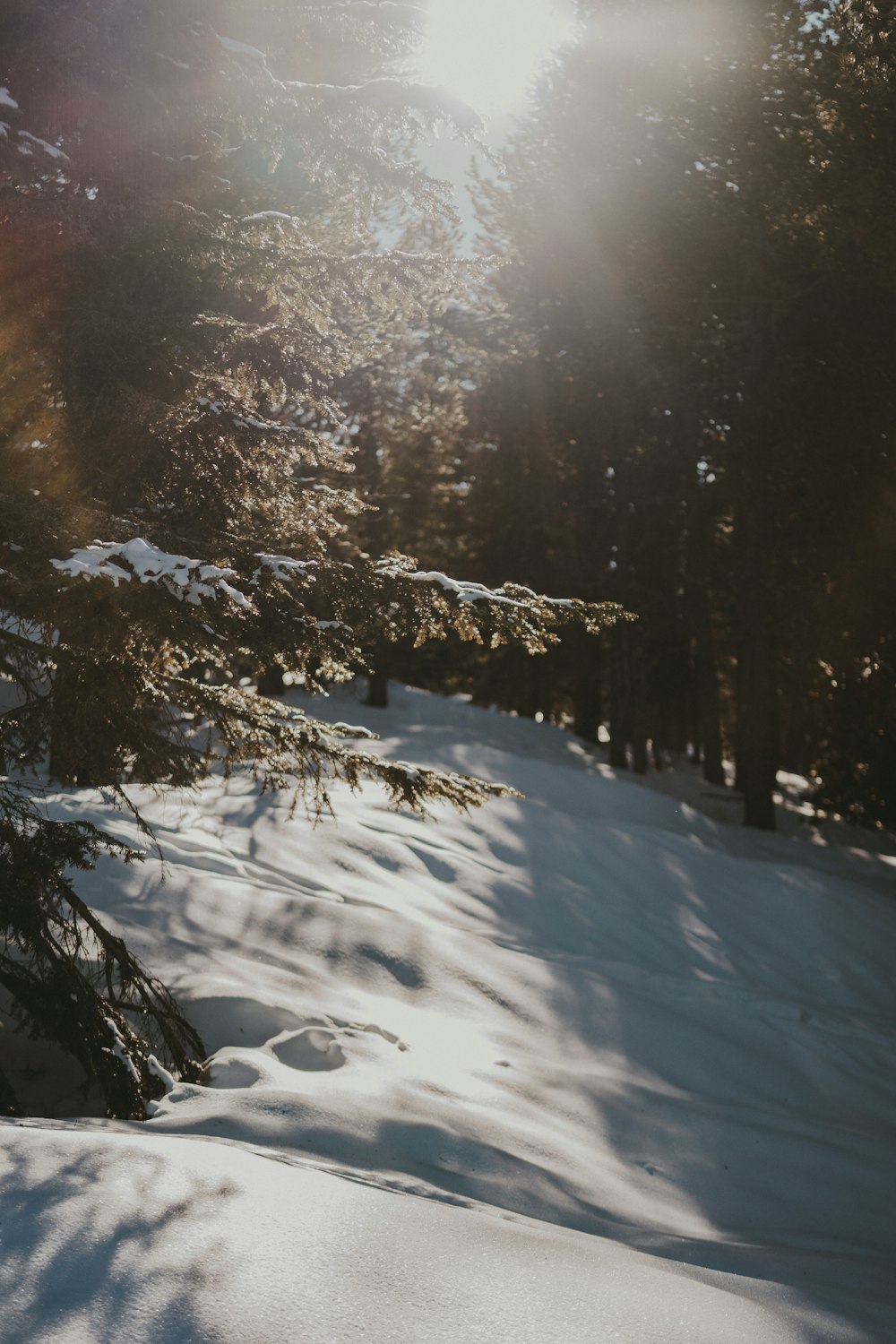 a person riding skis down a snow covered slope