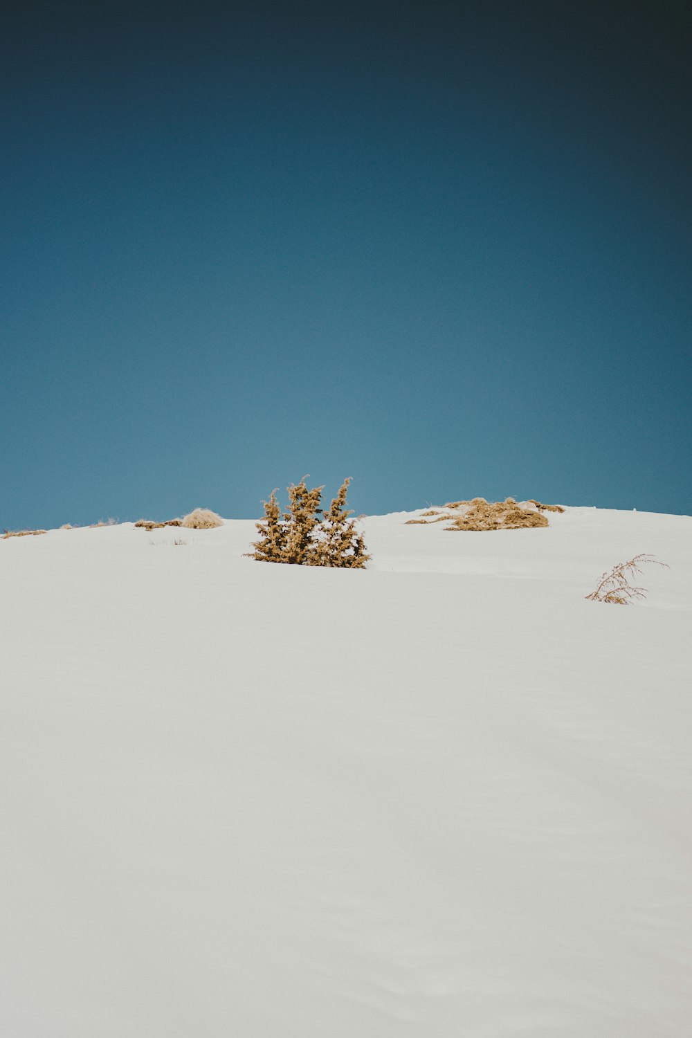 a person riding skis on top of a snow covered slope