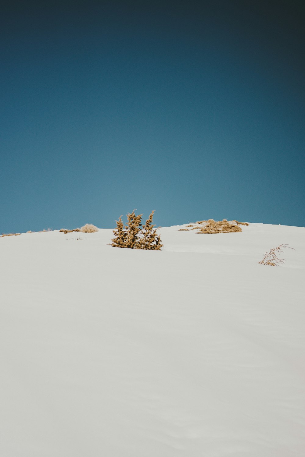 Una persona montando esquís en la cima de una pendiente cubierta de nieve