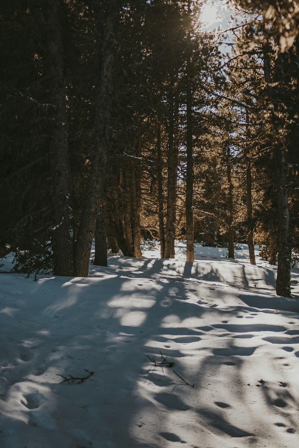 a person riding skis down a snow covered slope