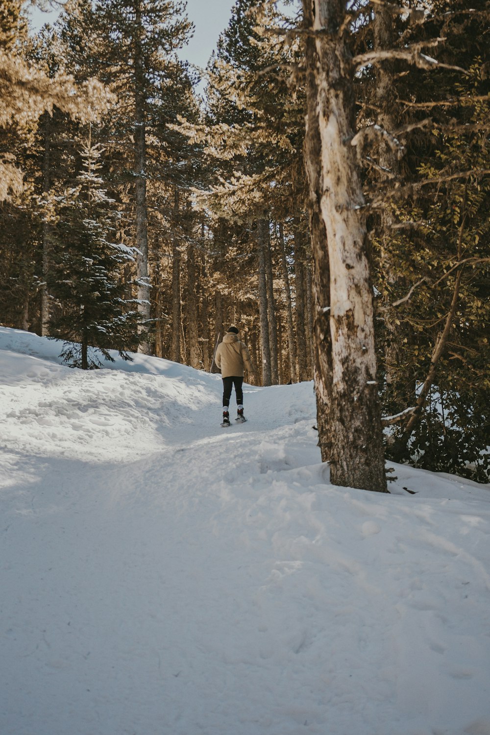 Un hombre montando una tabla de snowboard por una pendiente cubierta de nieve