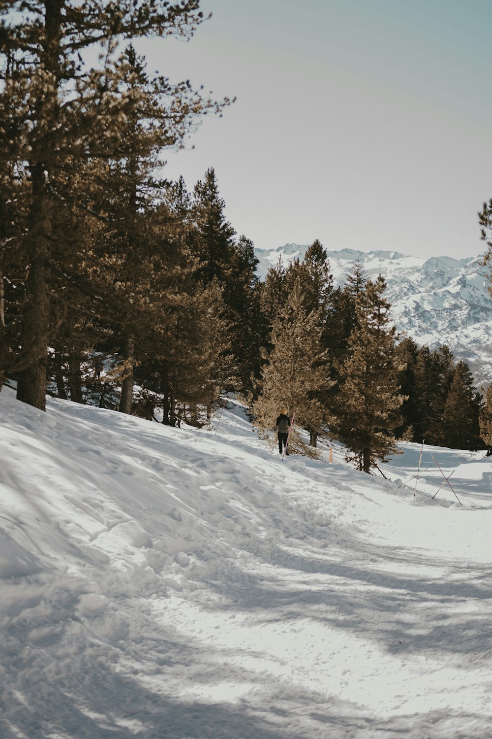 Un hombre montando esquís por una pendiente cubierta de nieve