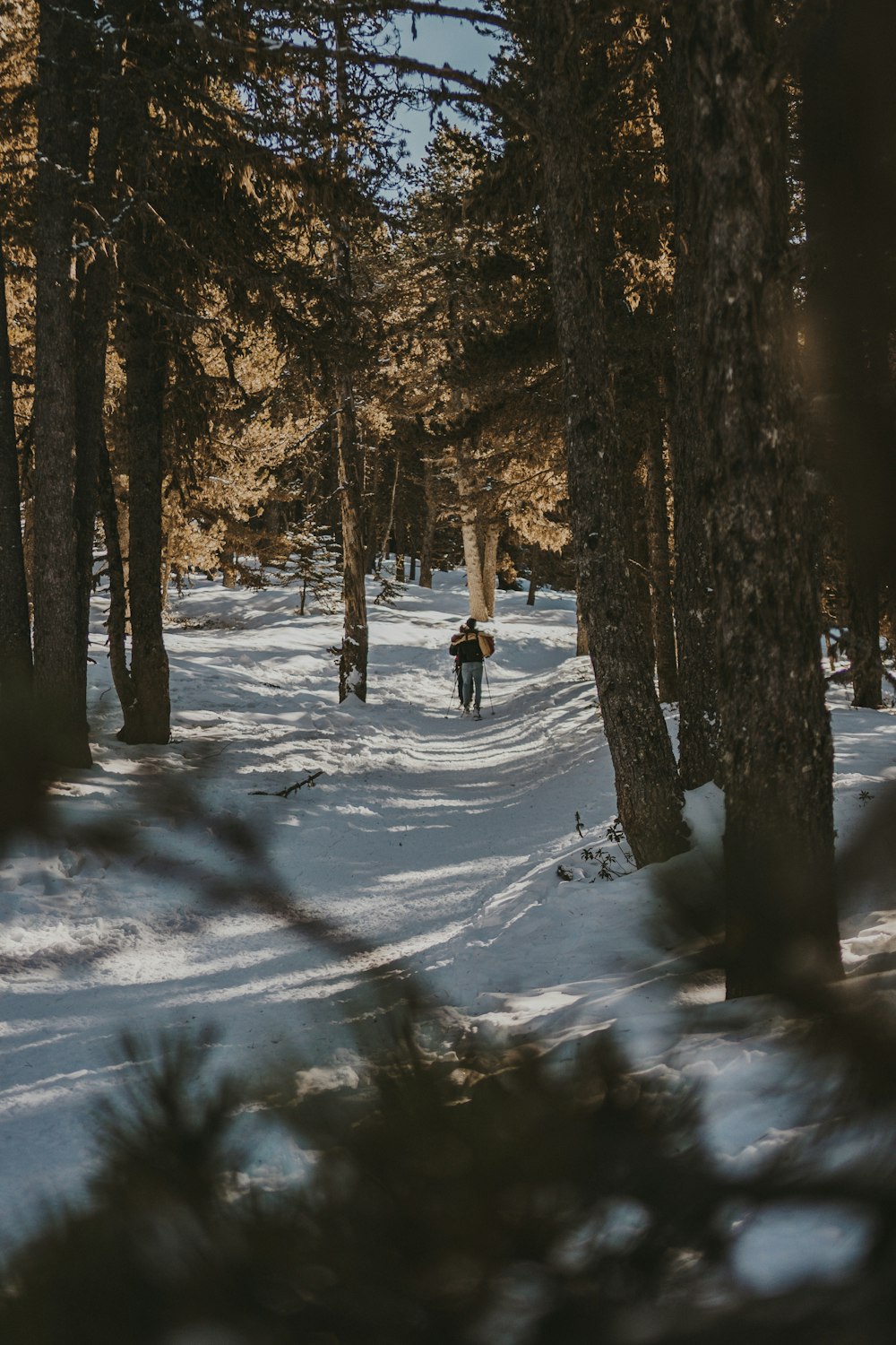 a person is walking through the woods in the snow