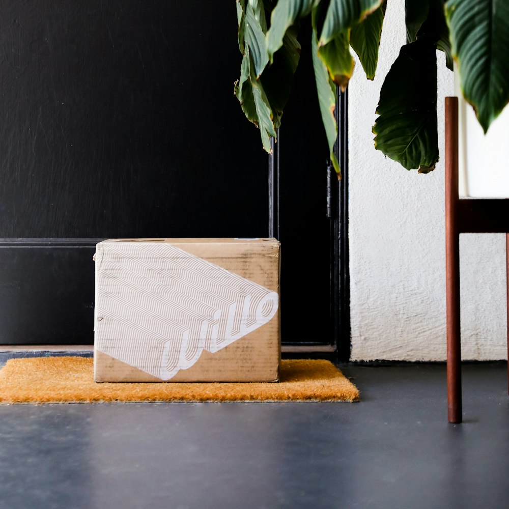 a box sitting on the floor next to a plant