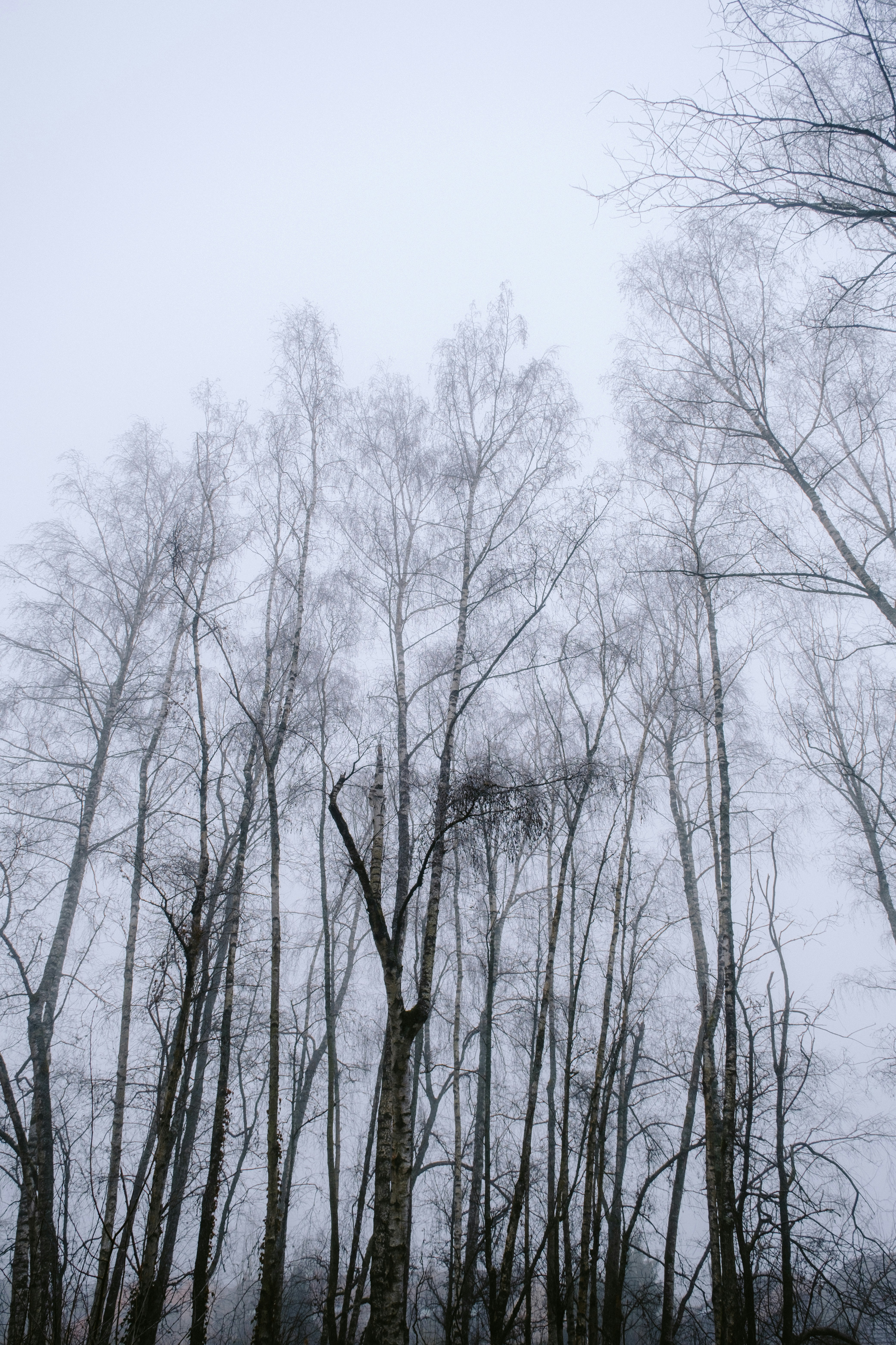 Photo by matreding
