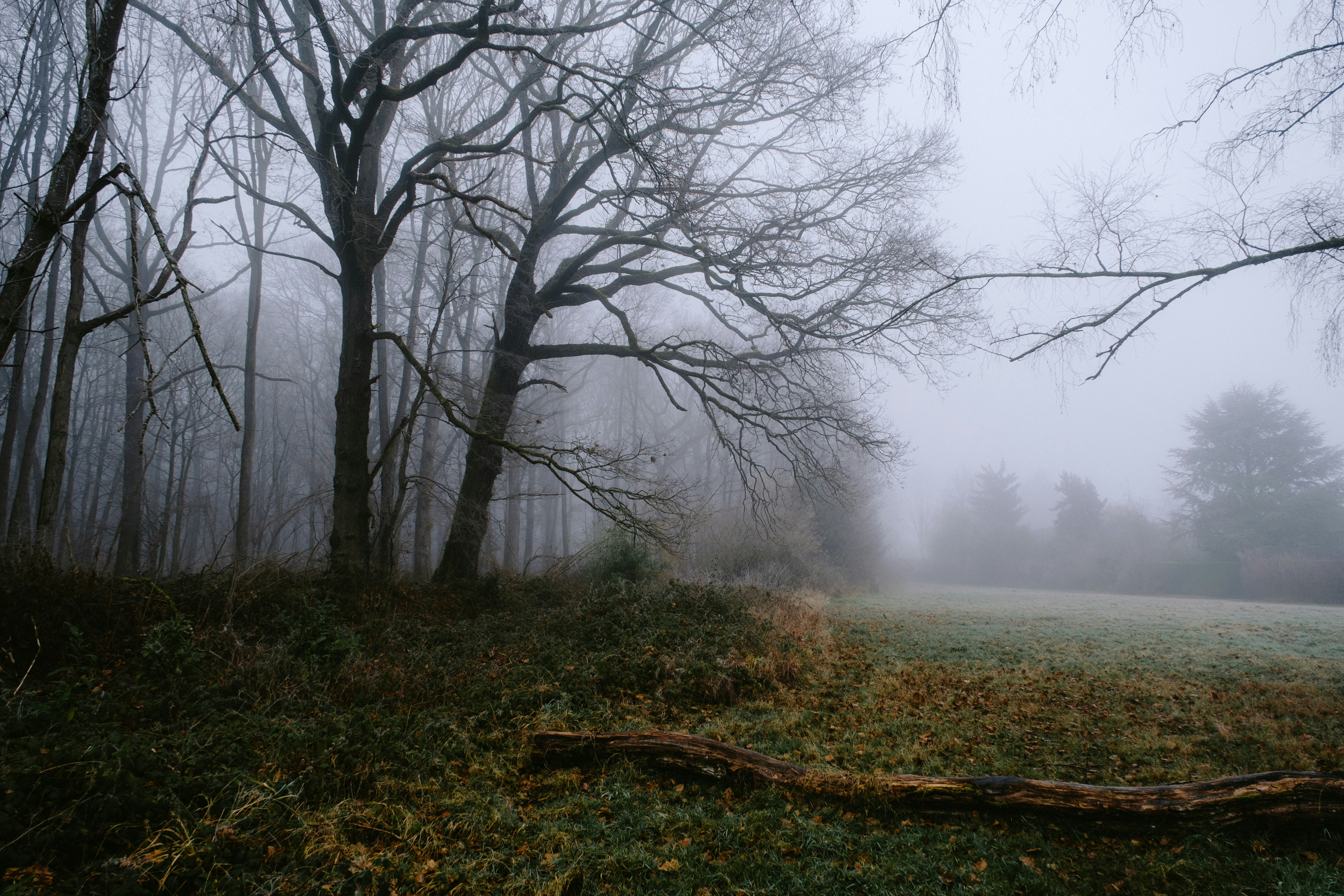 Photo by matreding