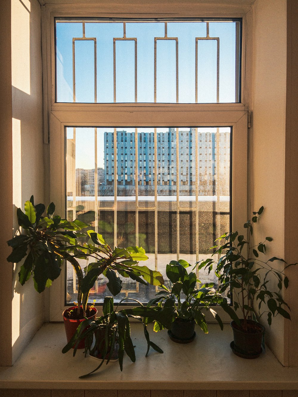 a window sill filled with potted plants next to a window