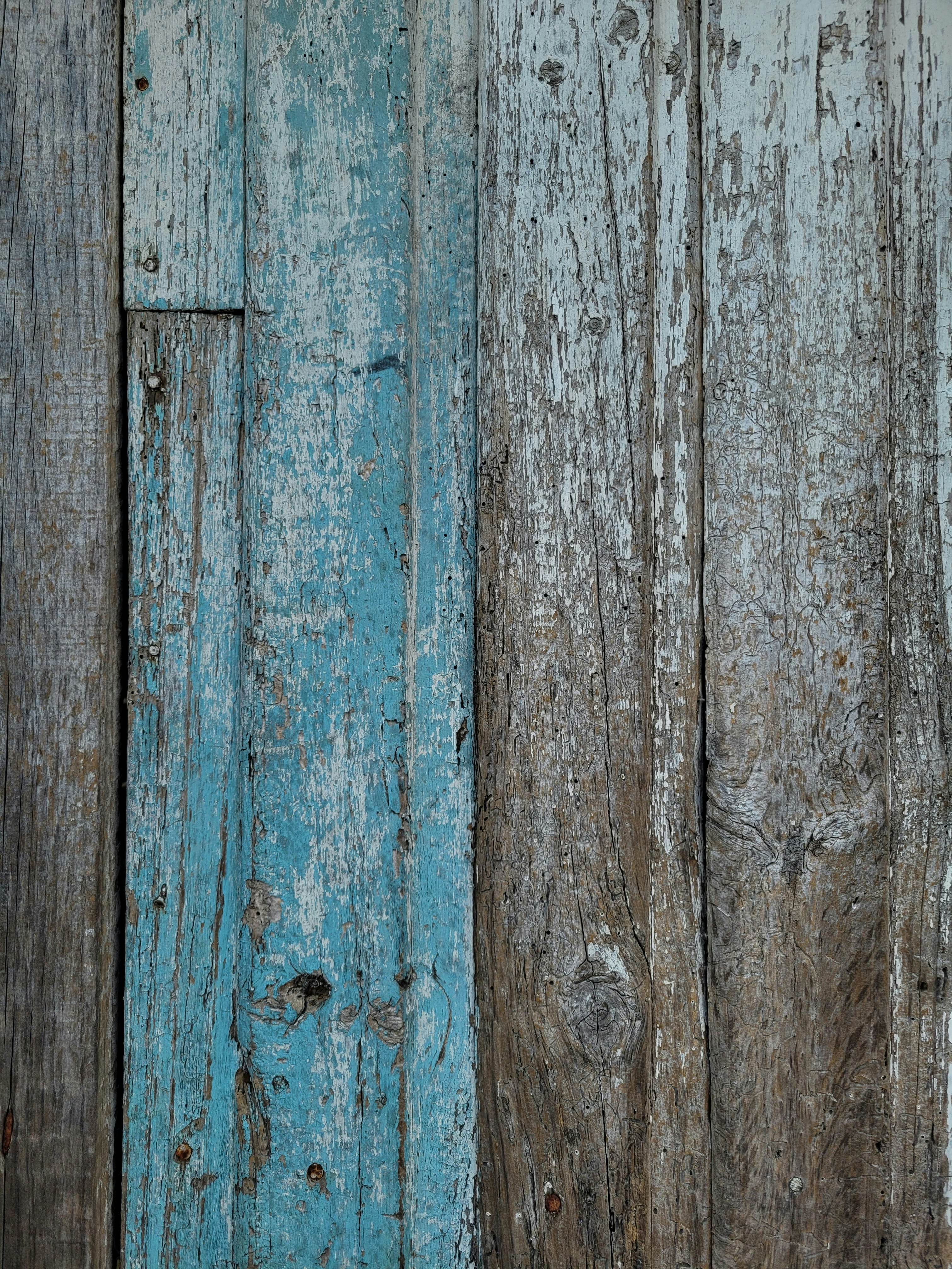 Photo by killari_hotaru