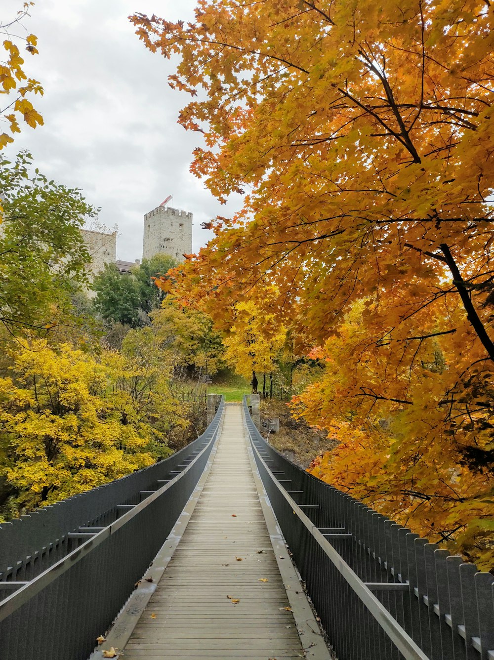 a bridge that is surrounded by trees with yellow leaves