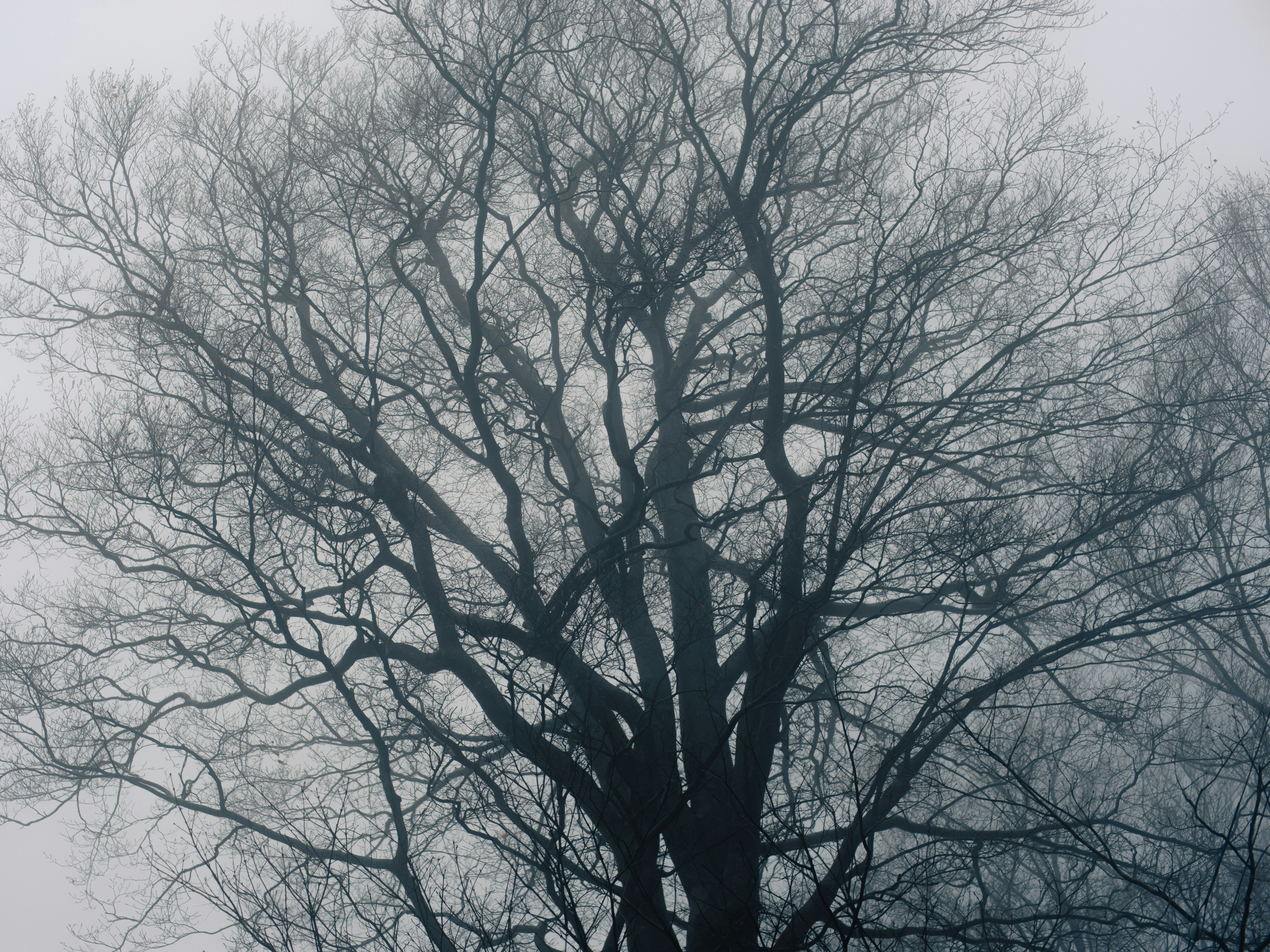 Аомори Япония