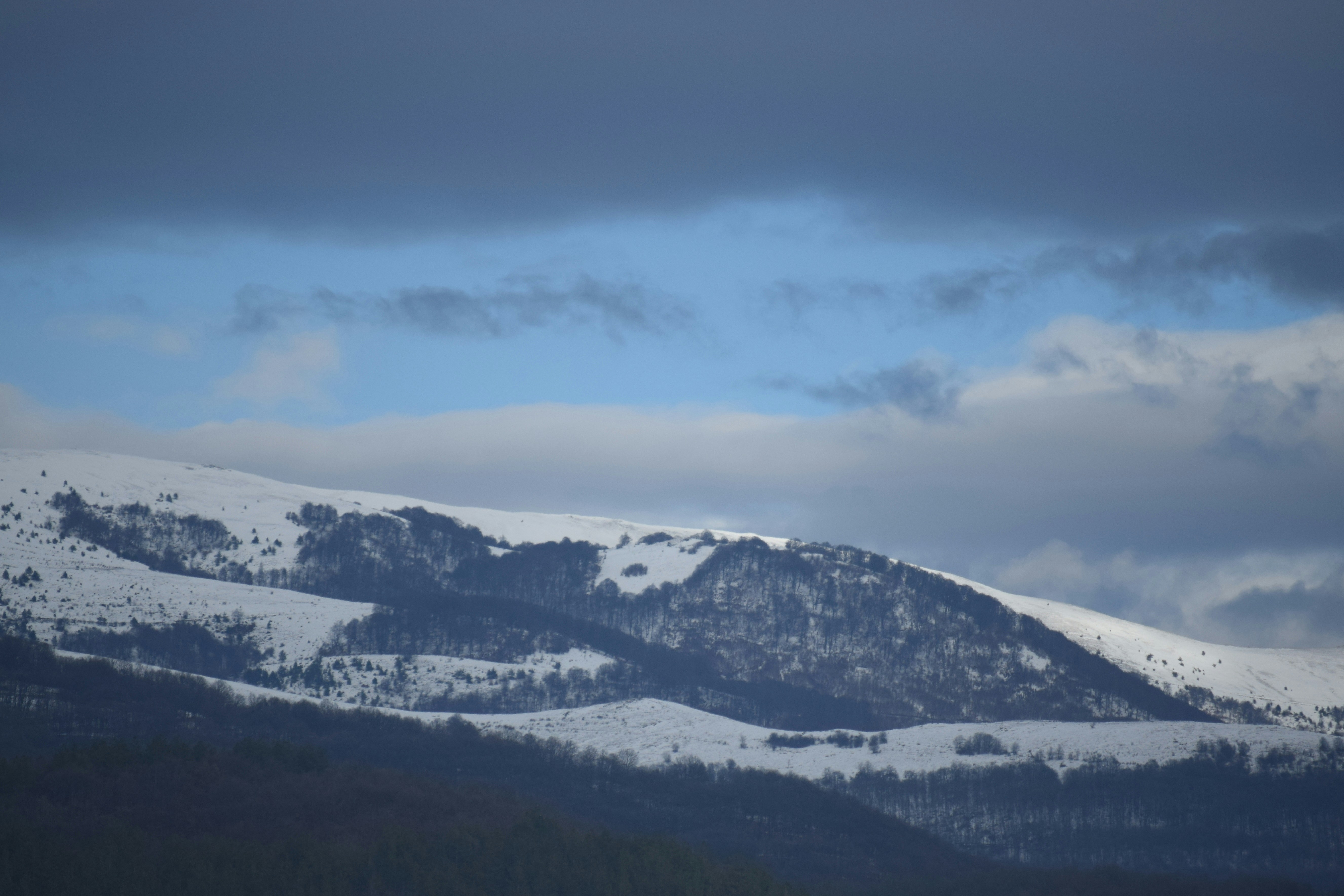 Photo by zeviktorman