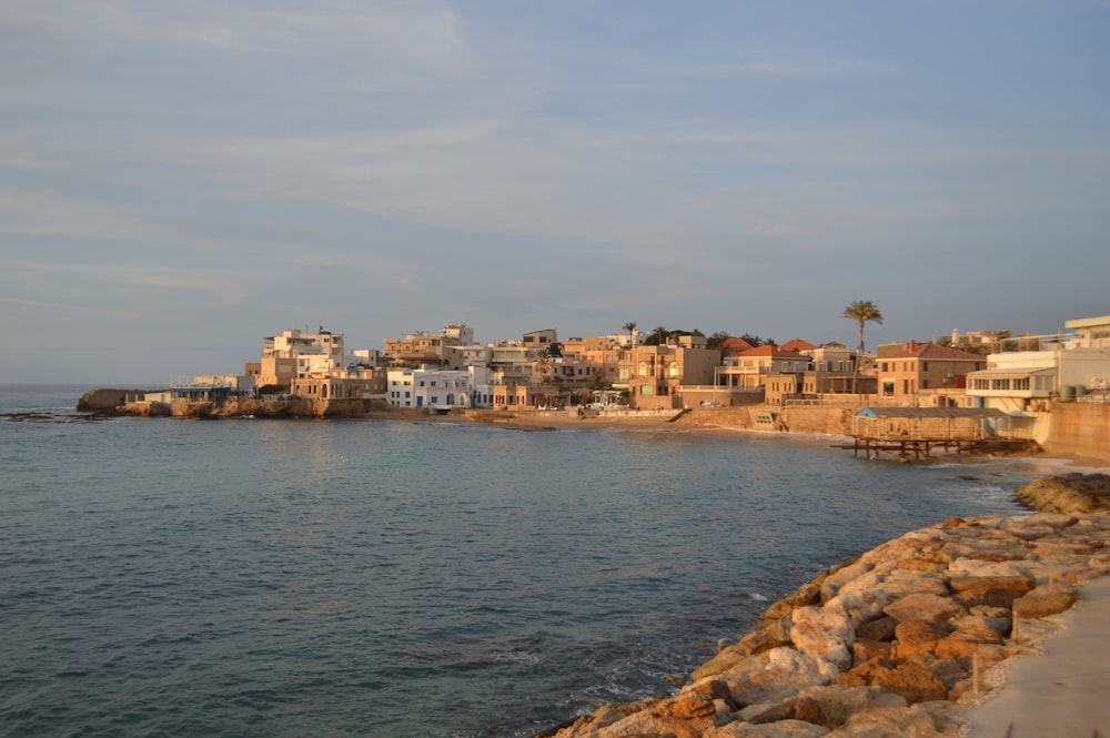 a view of a city from the water's edge