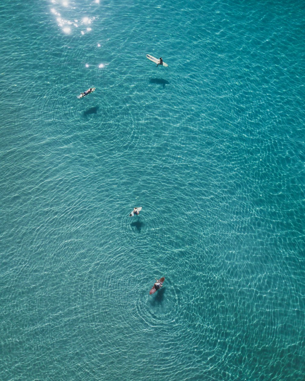 a group of people swimming in the ocean