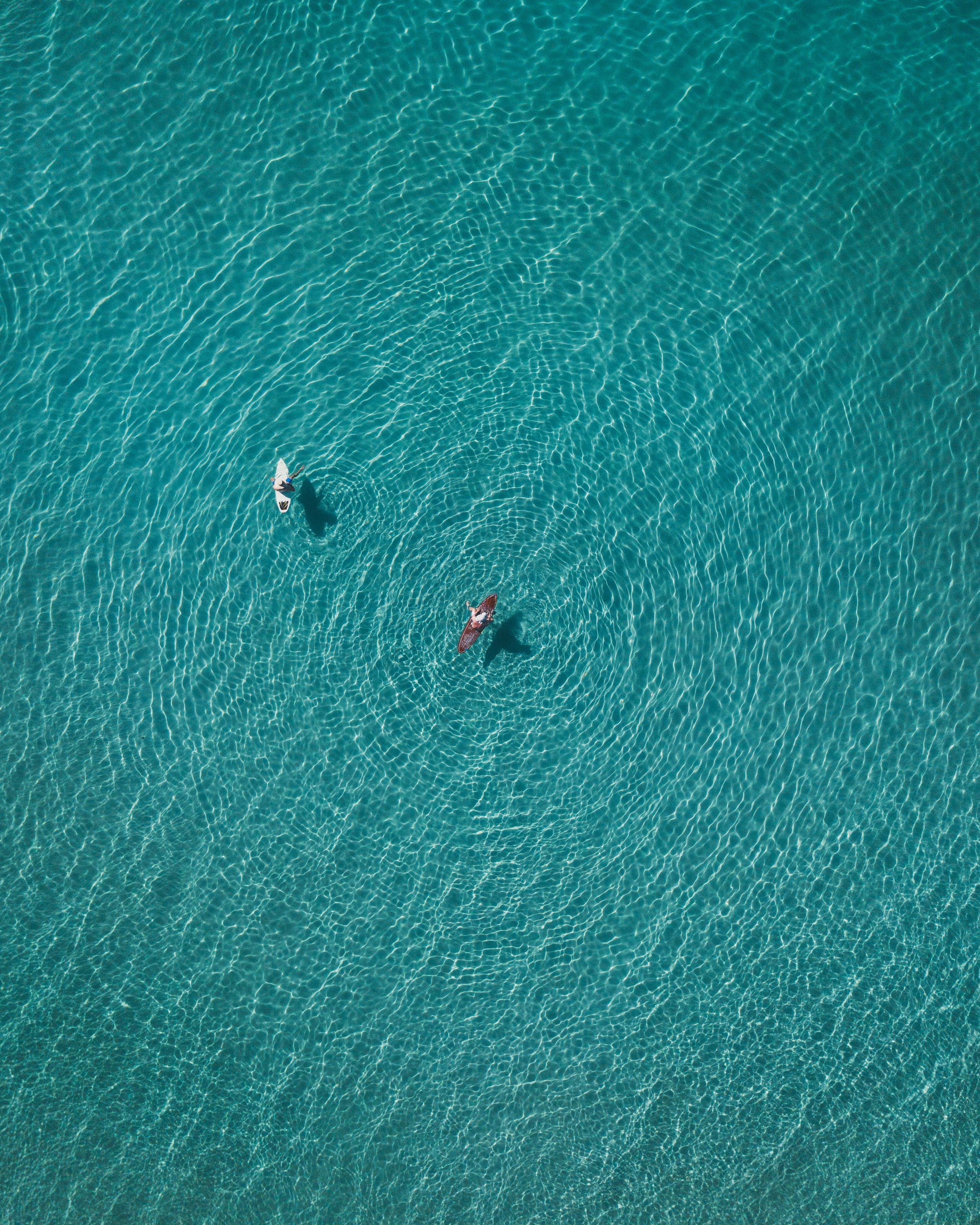 2026 Emerging Market Opportunities