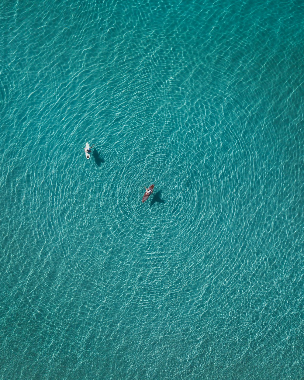 two people are swimming in the ocean together