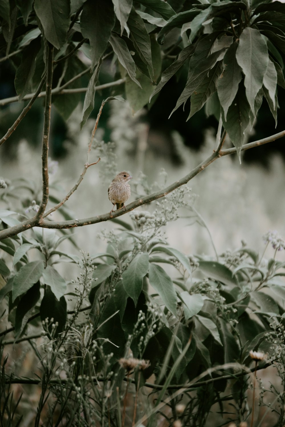 a small bird perched on a tree branch