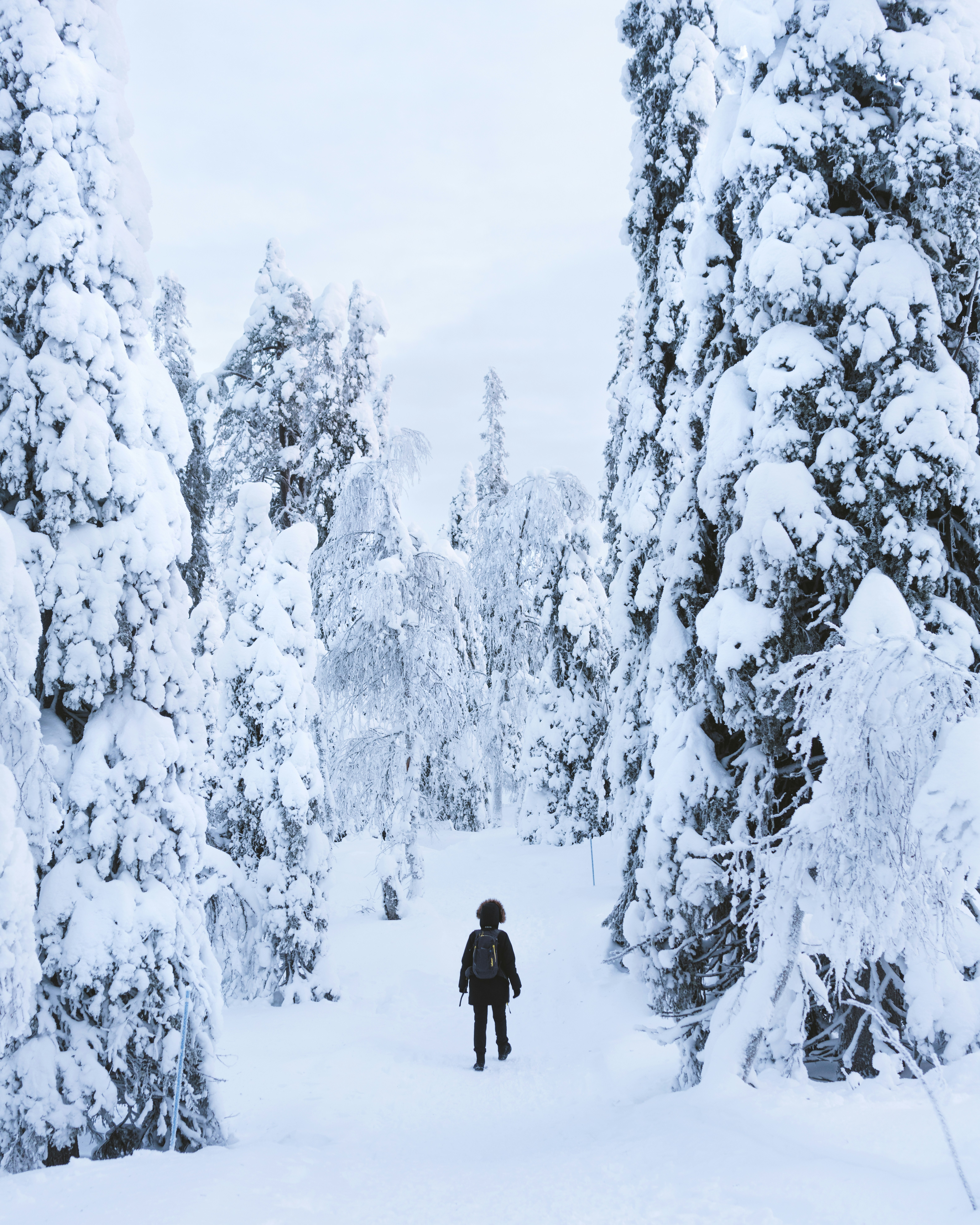 Photo by deko_photo4