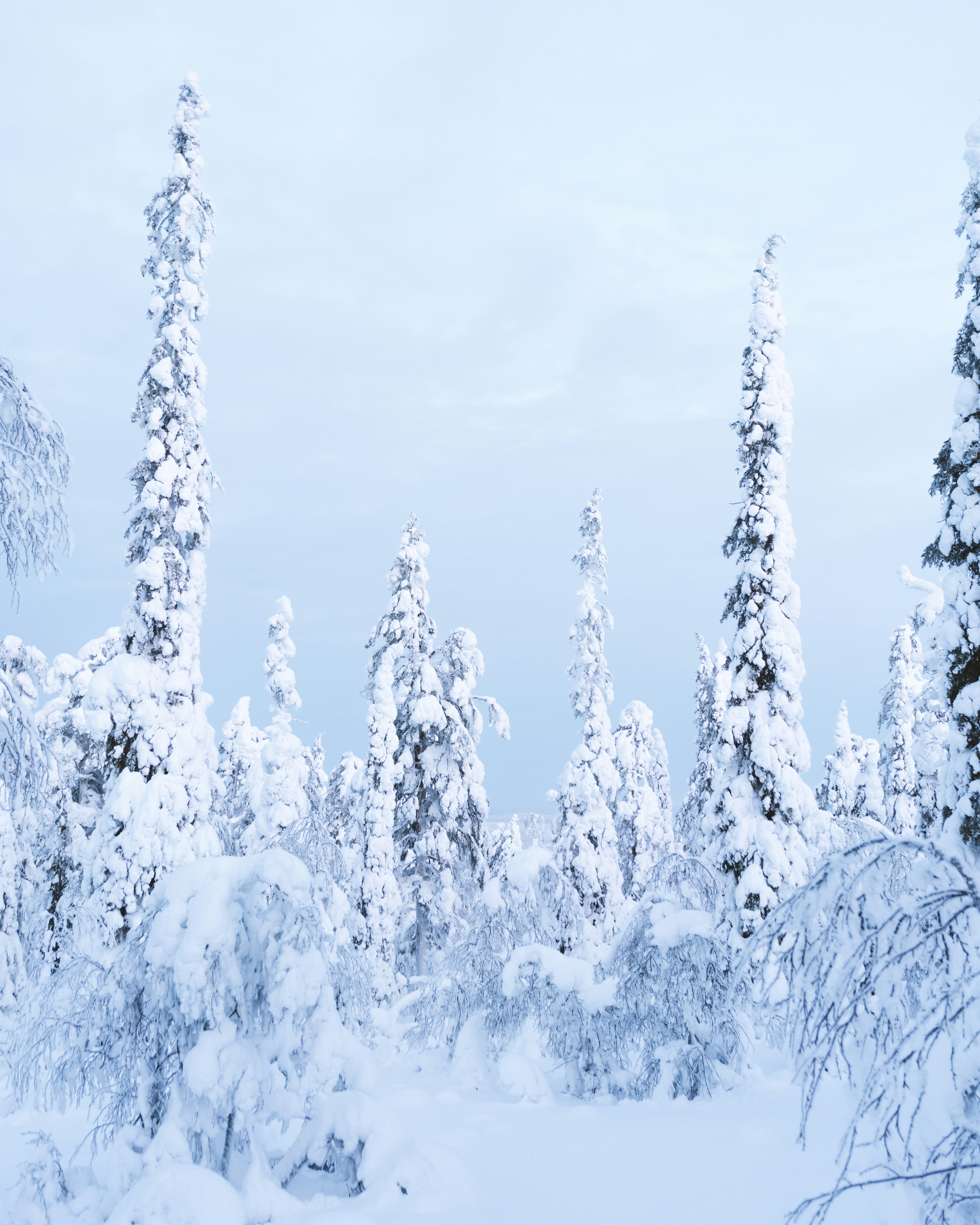 Photo by deko_photo4