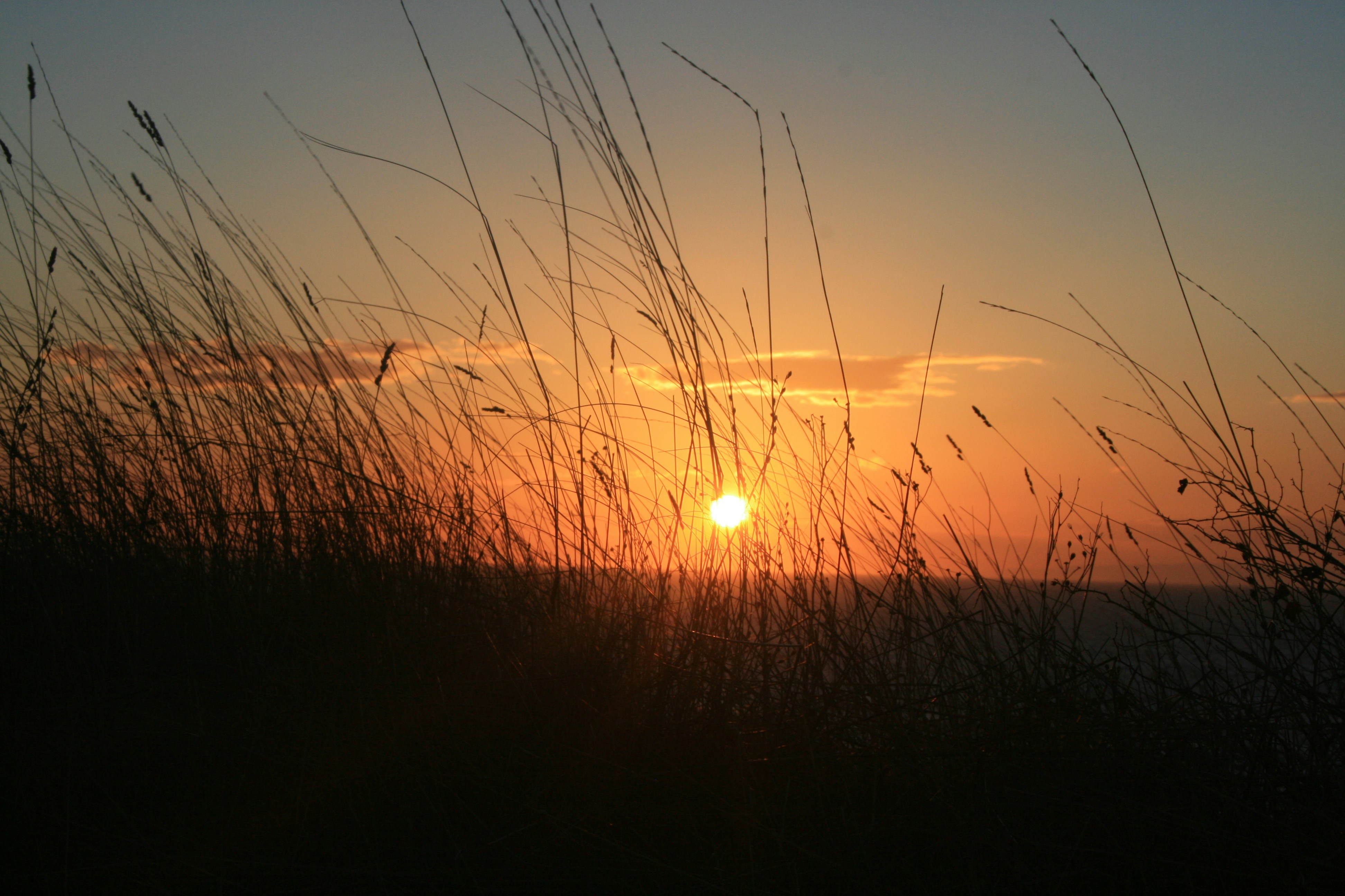 The Scoop: Central Florida | September 2025