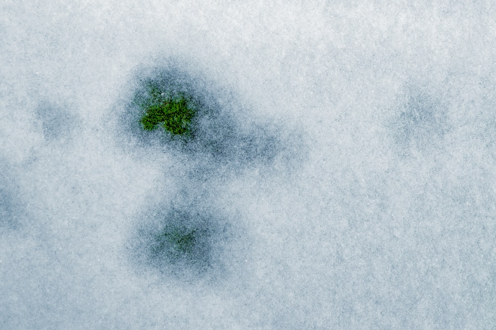 a snow covered ground with a small green object in the middle of it