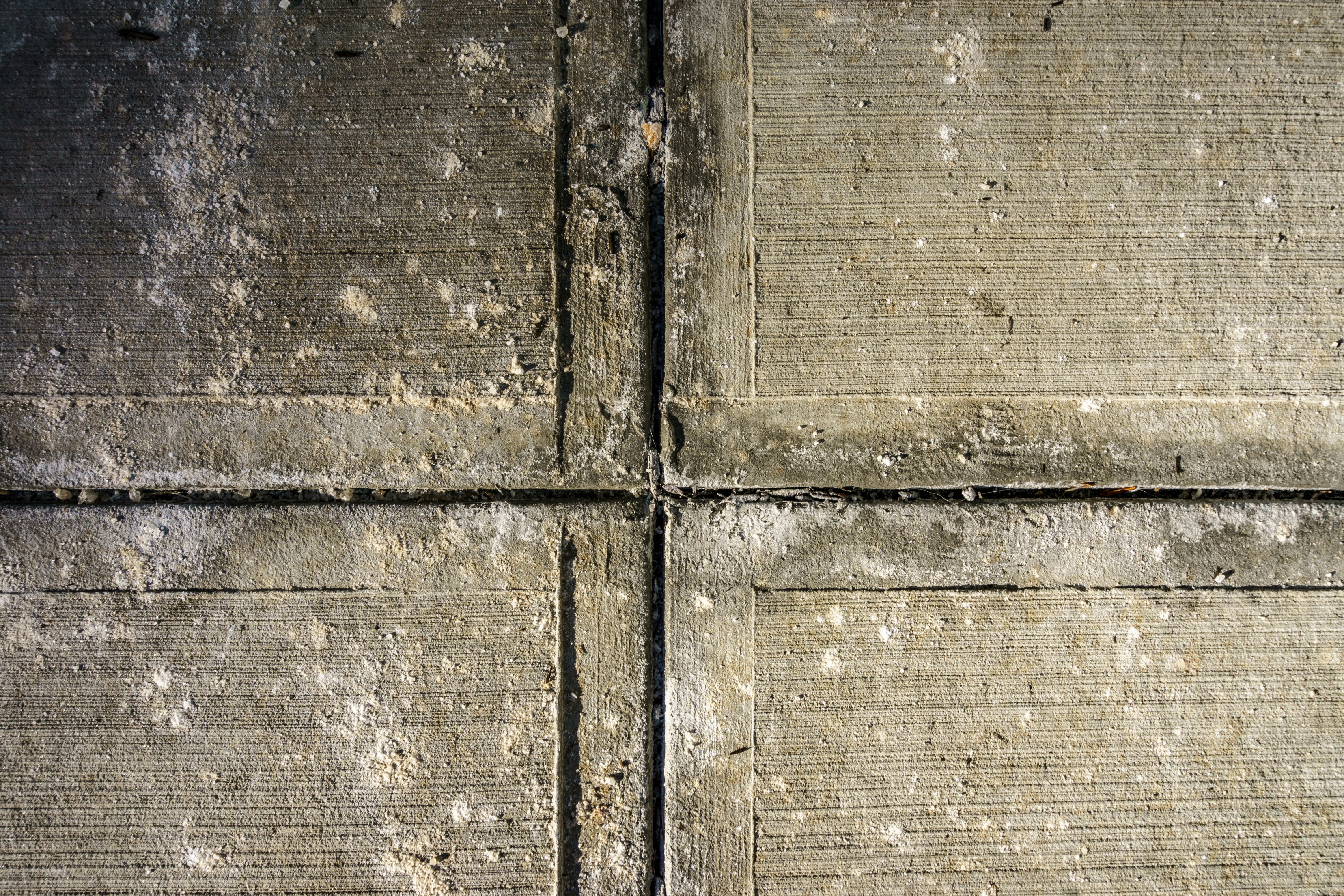 Photo by clayleconey