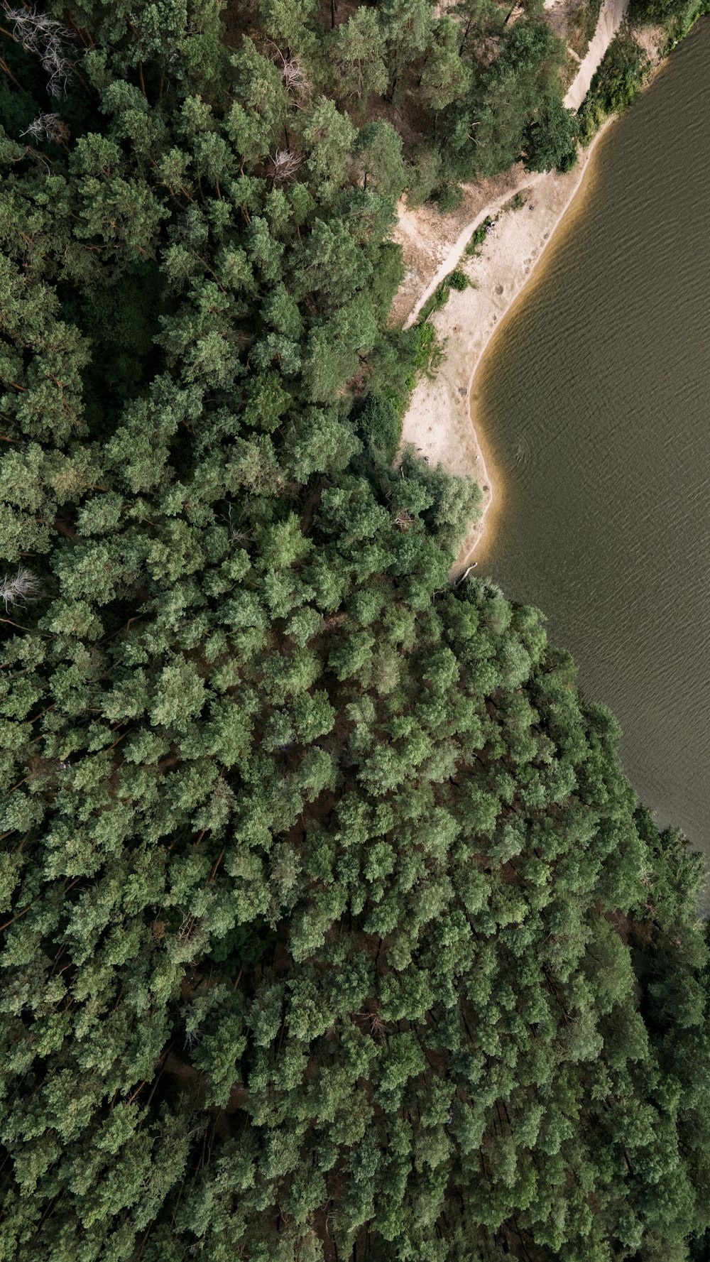 an aerial view of a lake surrounded by trees