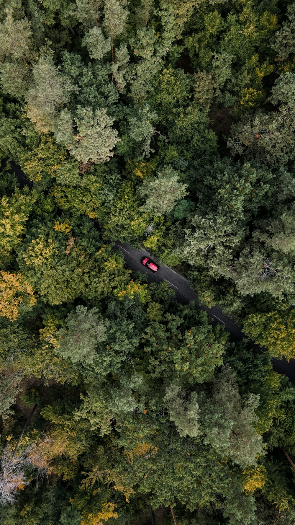 an aerial view of a car driving through a forest