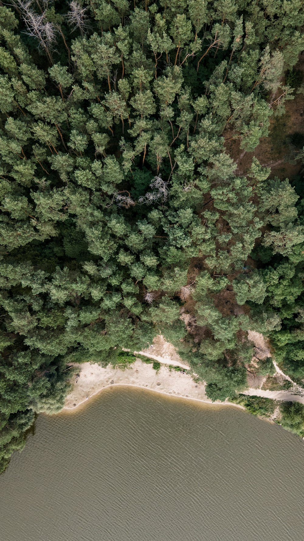 an aerial view of a lake surrounded by trees