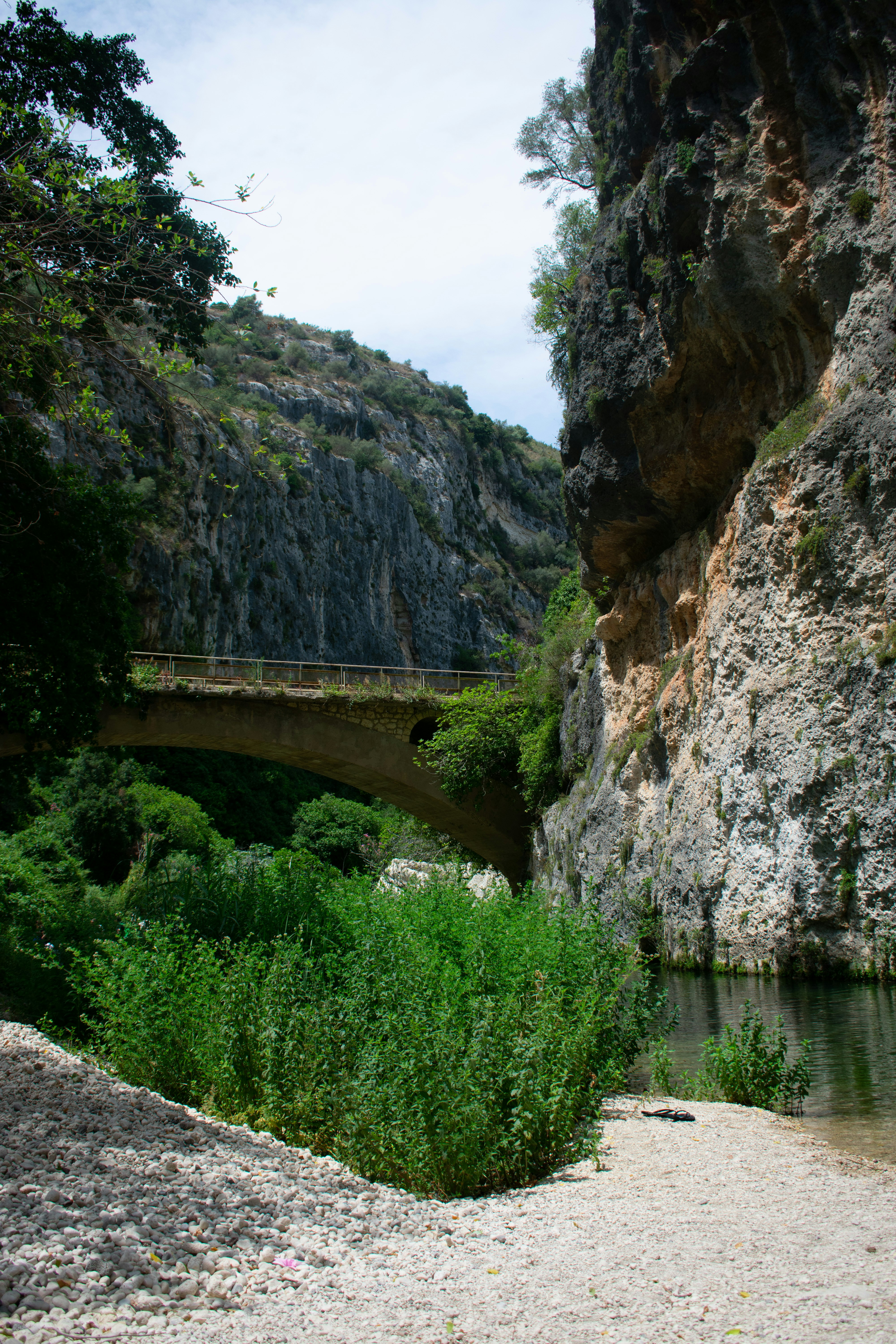 Photo by stefanotanny