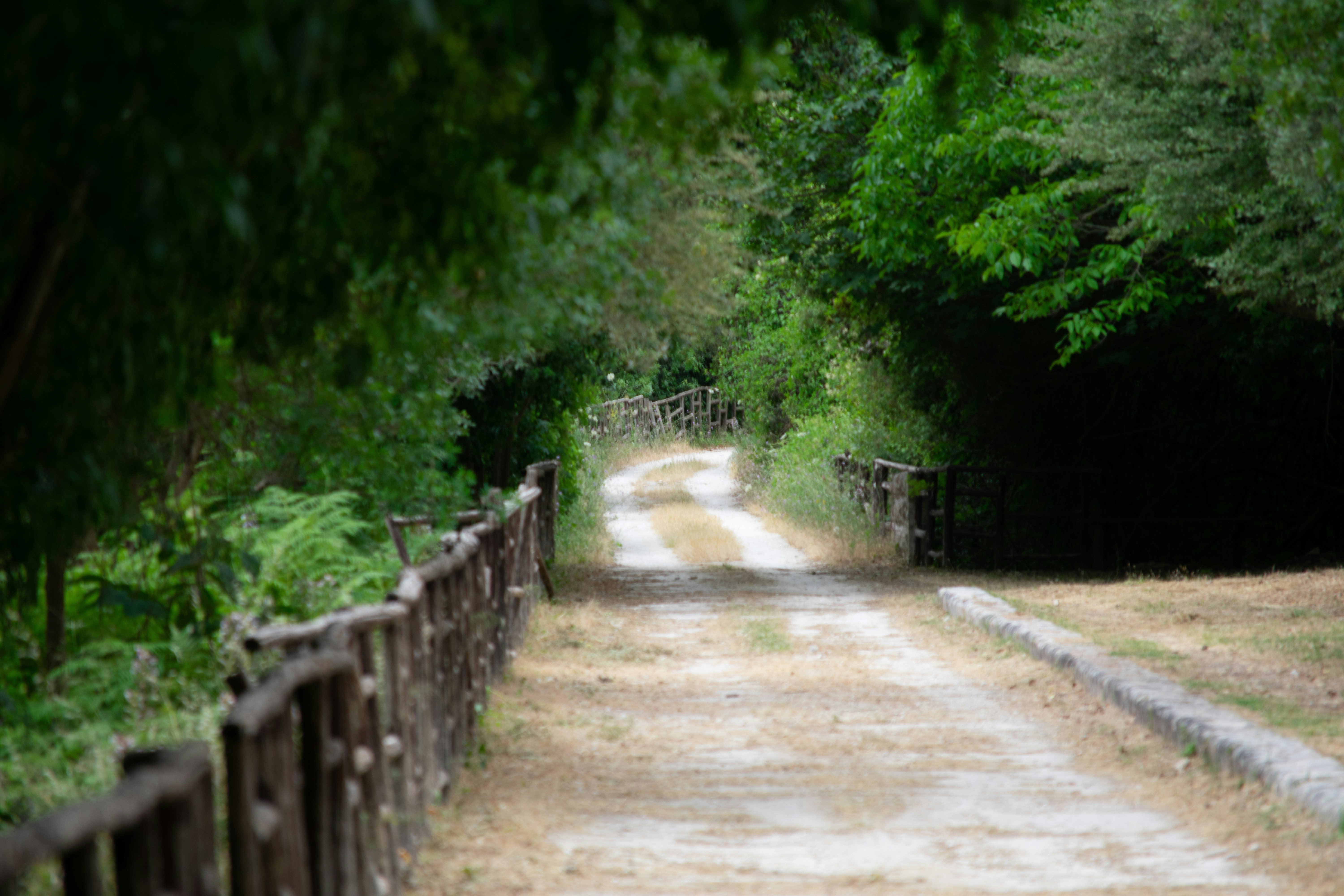 Photo by stefanotanny