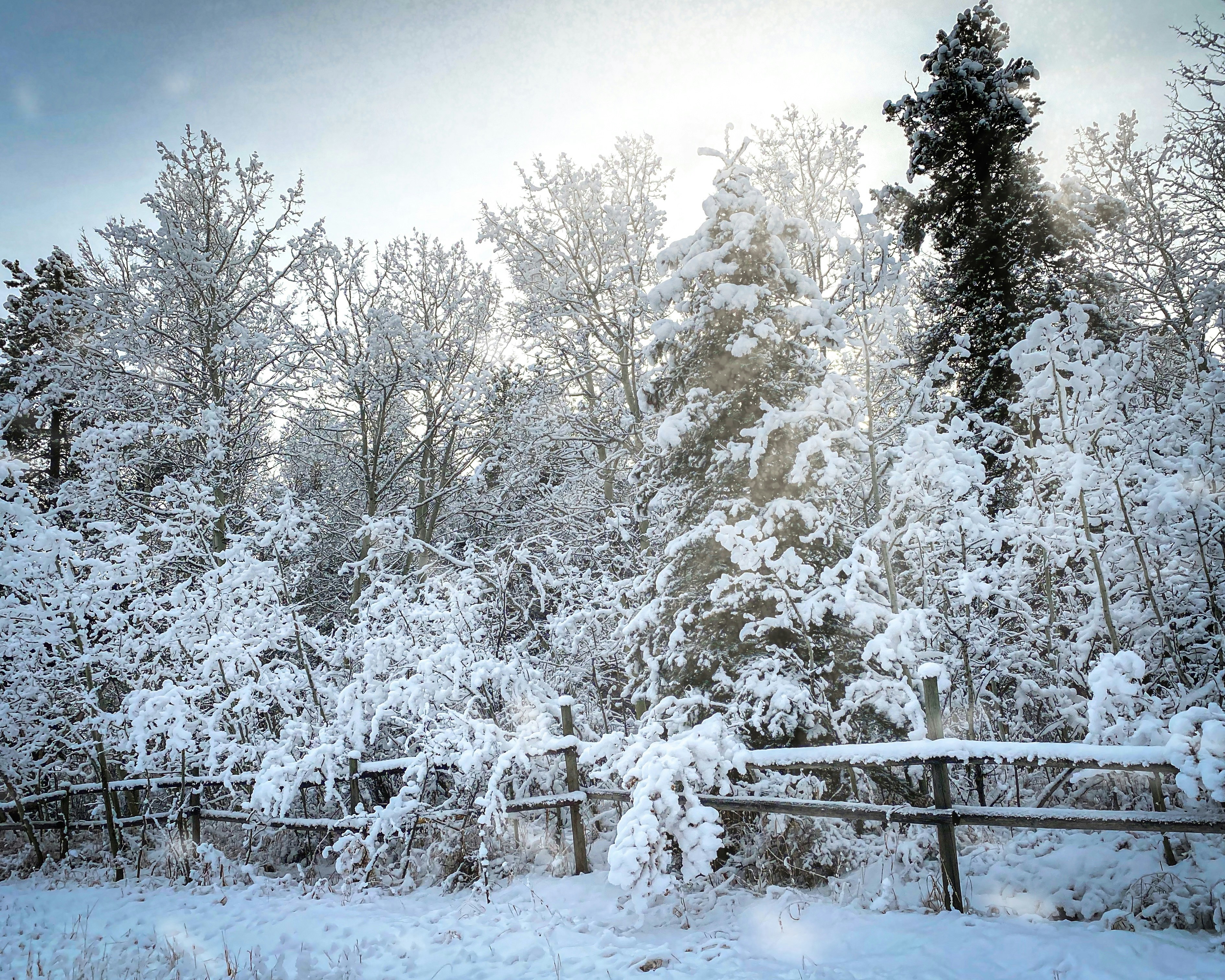 Photo by christianwadstein