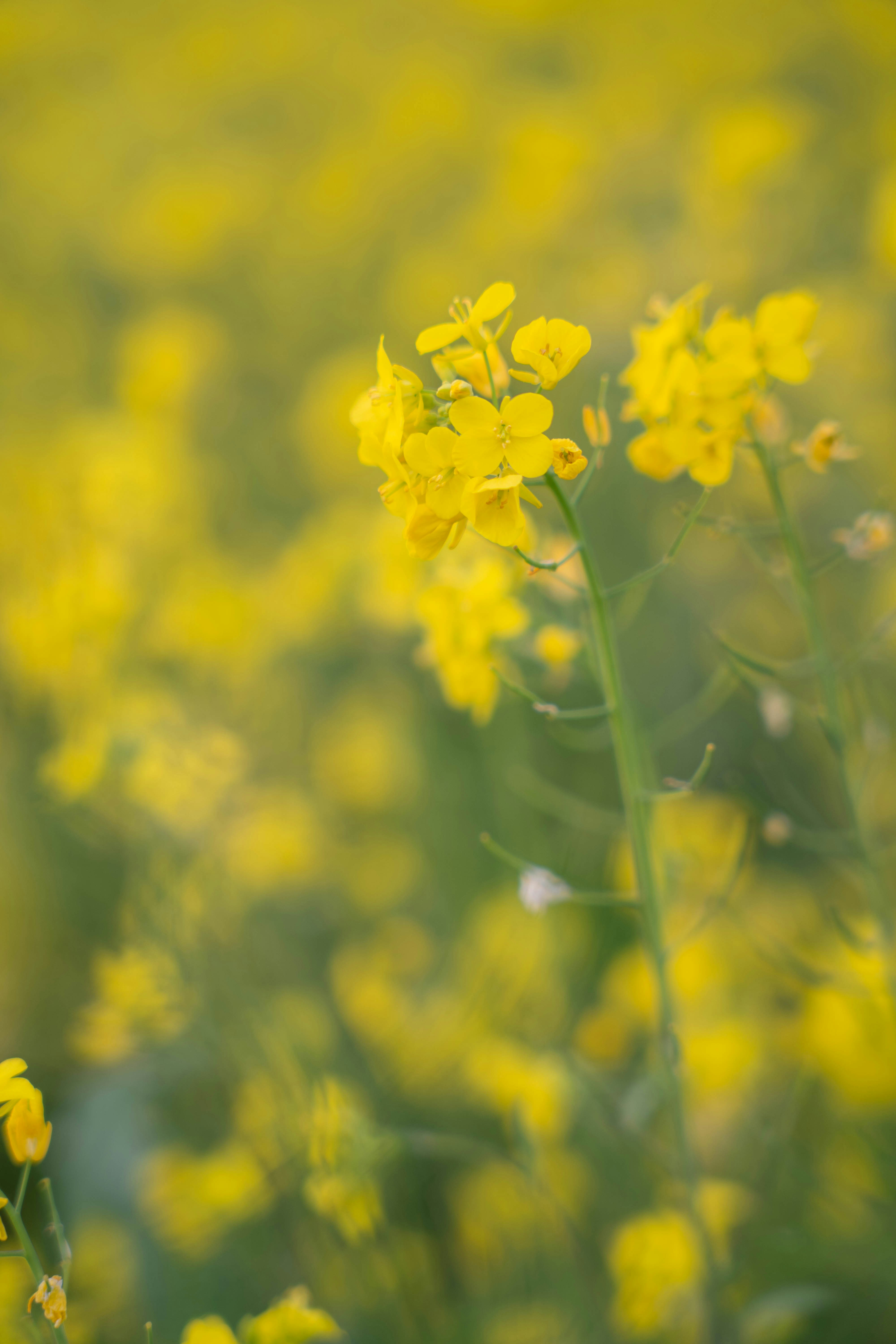 Photo by sunnynguyen