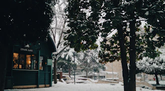 A cozy circle of people sharing ideas beneath softly falling snow outside a warm cabin.