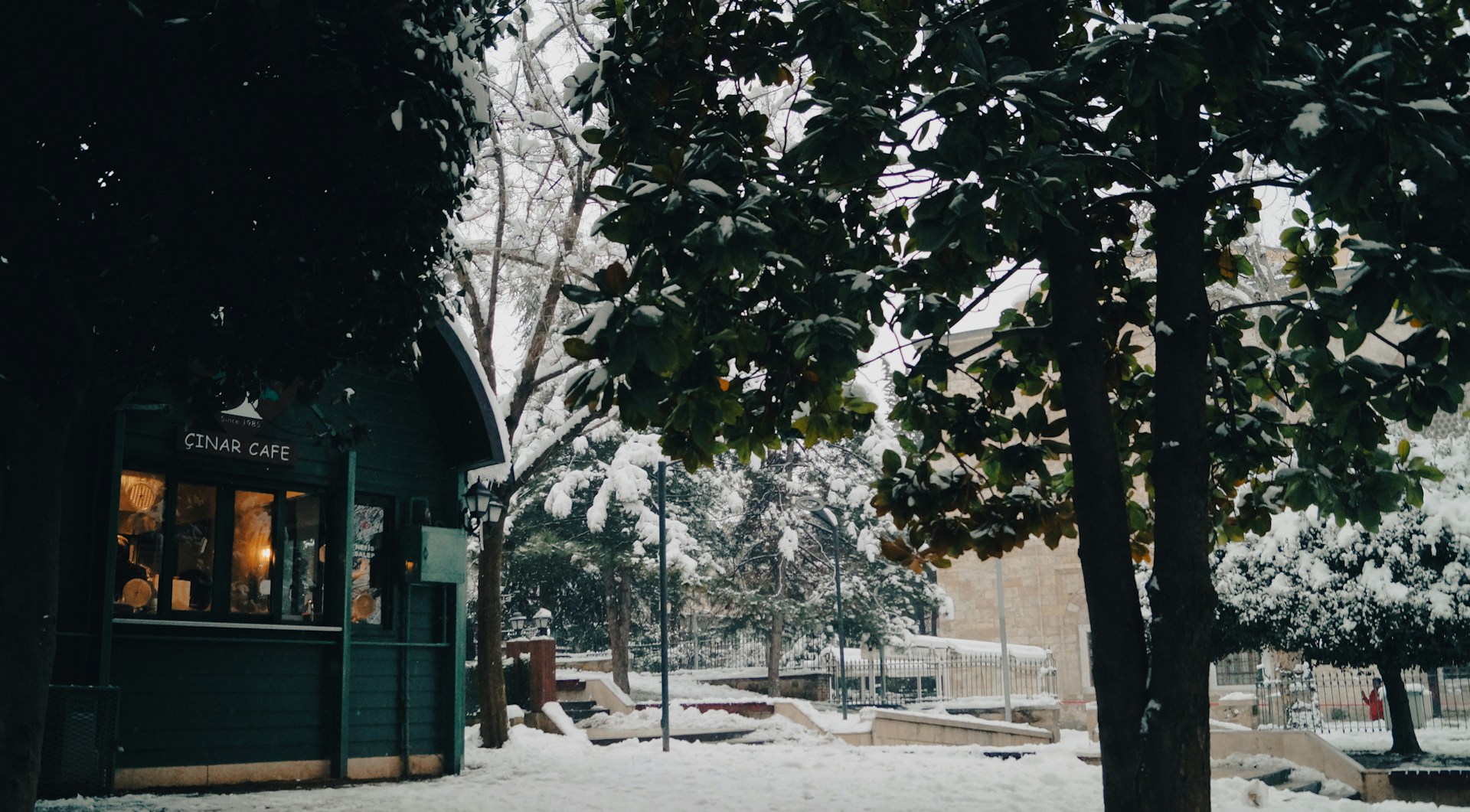 black and brown leather padded tub sofa