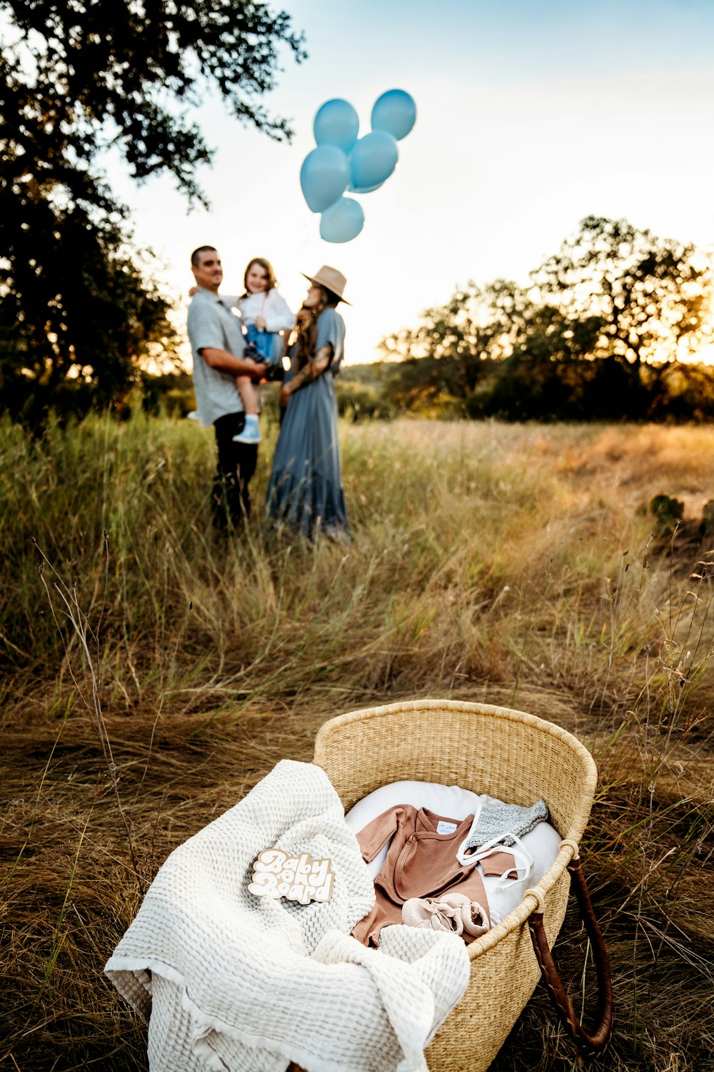 a baby in a basket in a field with balloons