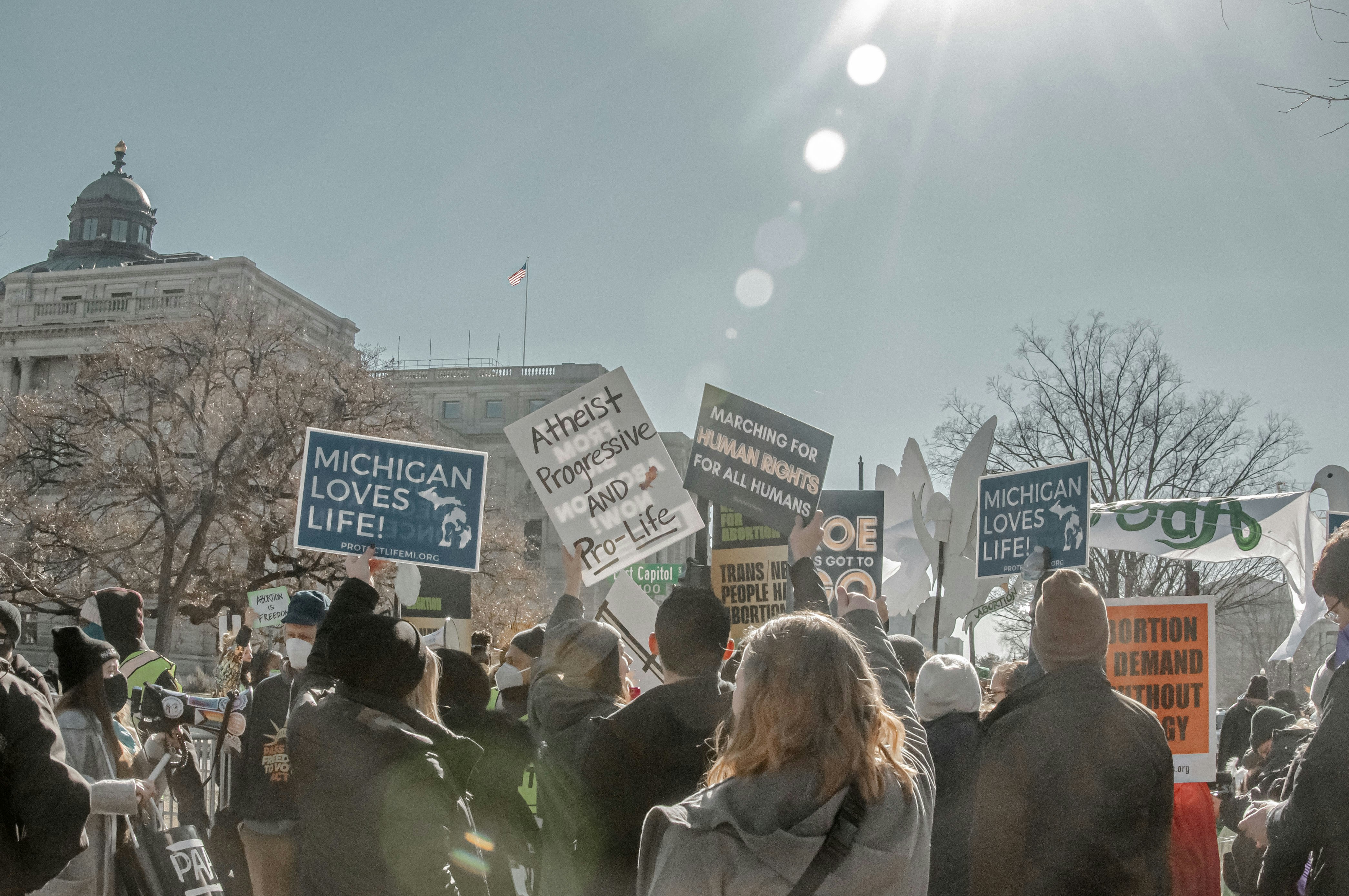 A protest scene with a large group of people holding various signs and banners. The signs display messages related to pro-life and human rights advocacy. The crowd is gathered in front of a government-like building with a dome on top. The sun is shining brightly, casting lens flares across the image, and bare trees suggest a winter setting.