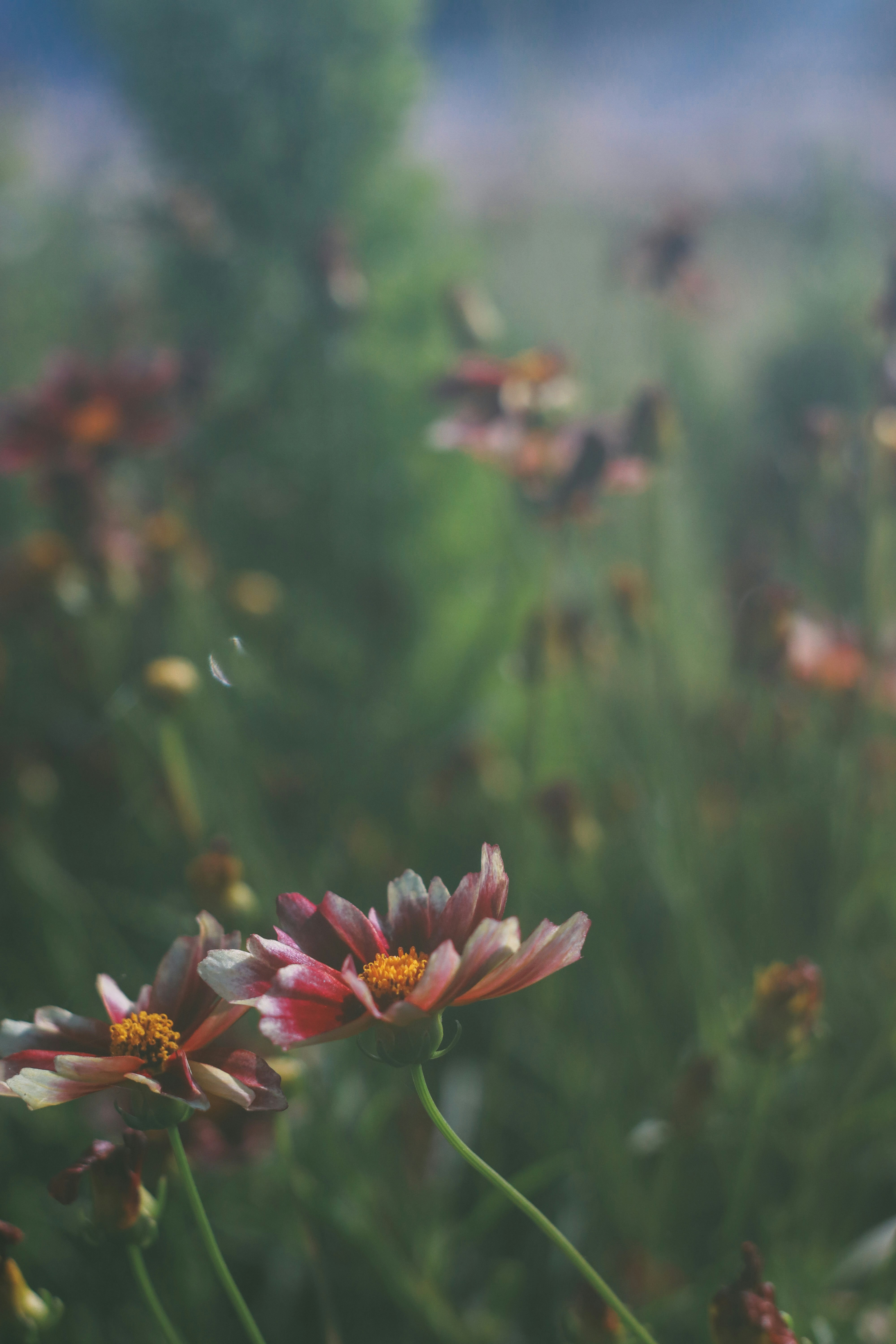 Photo by julkarrr